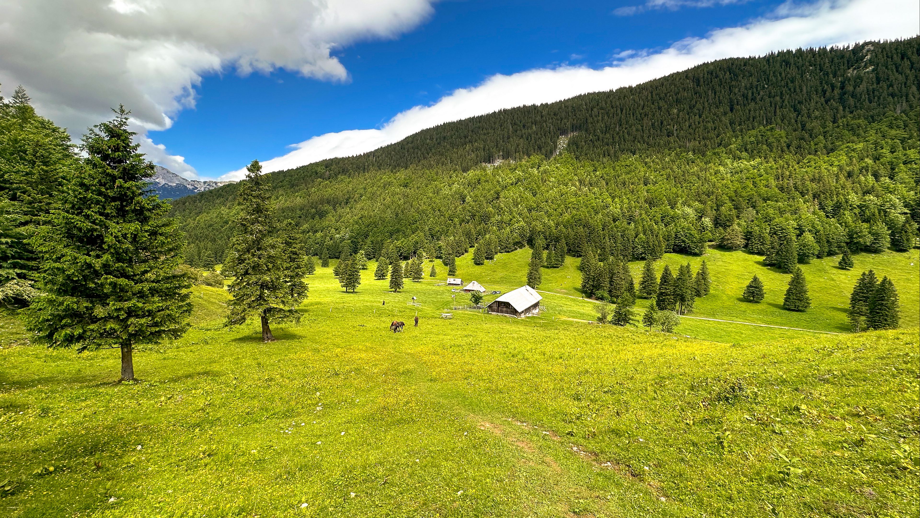 Download wallpaper 3840x2160 house, valley, trees, mountains, nature 4k uhd 16:9 HD background