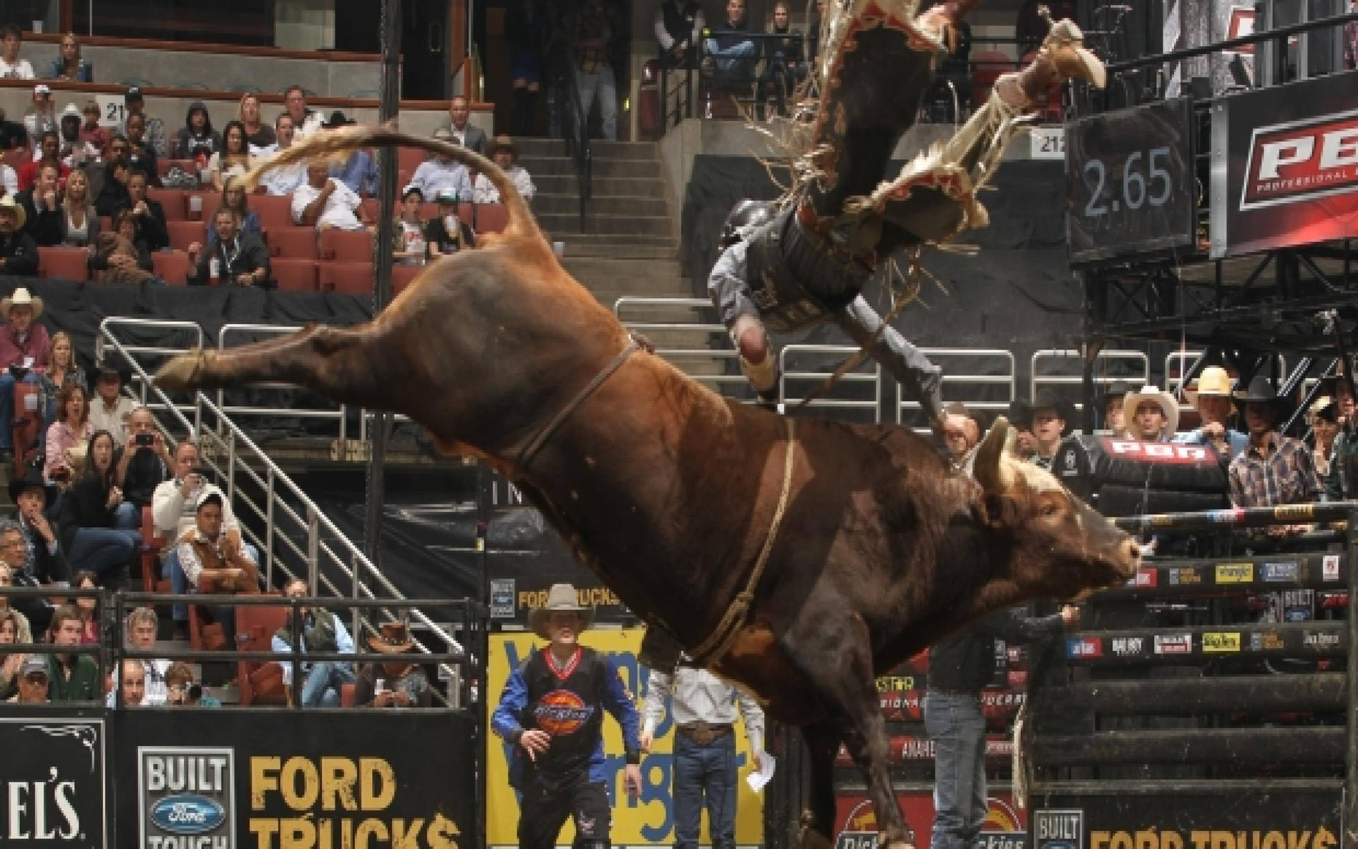 Download Intense Bull Riding Wallpaper