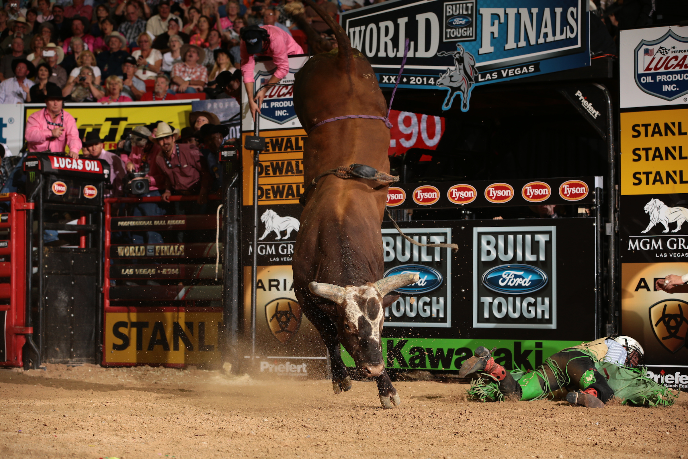 2014: Three Time World Champion Bull Bushwacker Wins His Third World Title (2011, 2013, 2014) Vegas Weekly