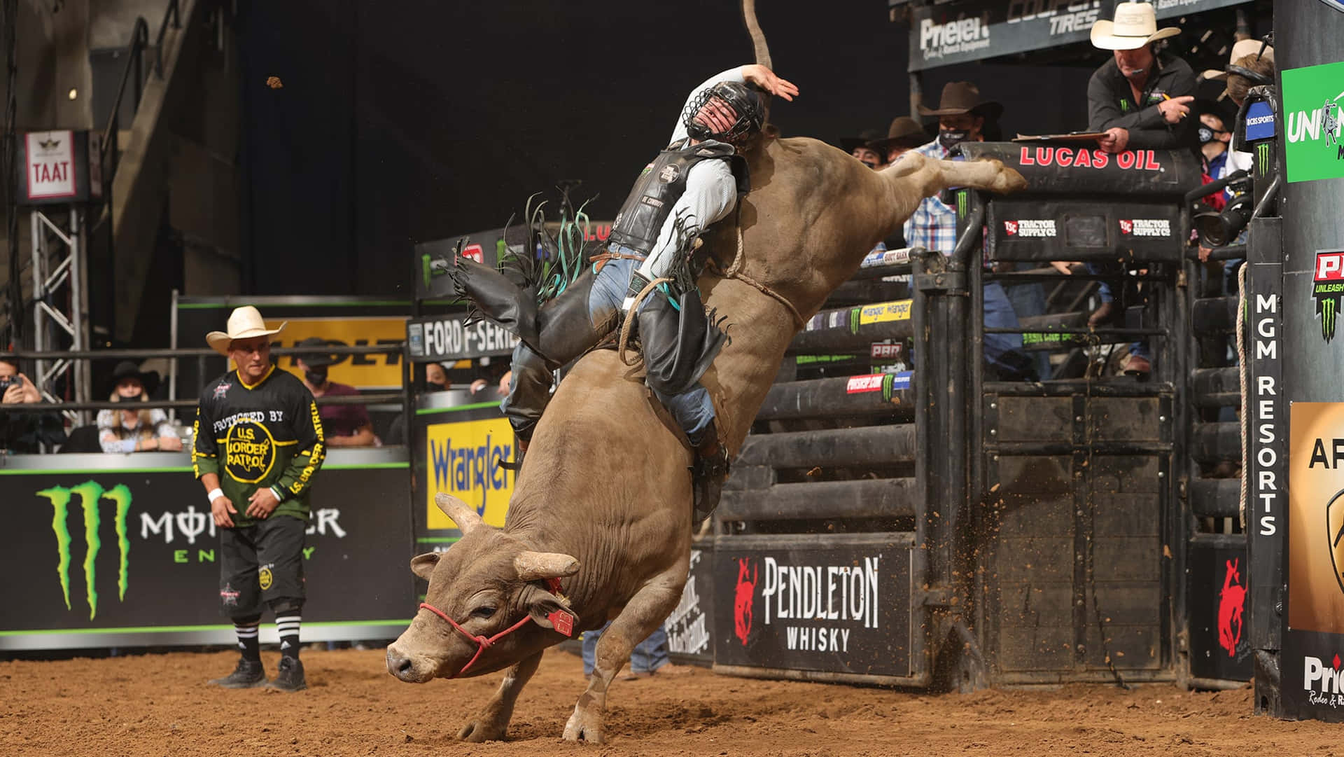 Download Conquer the animal kingdom on the back of a bronco