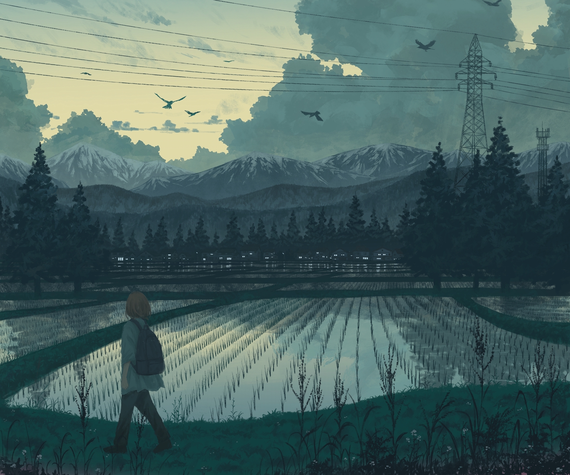 Countryside HD Wallpaper and Background