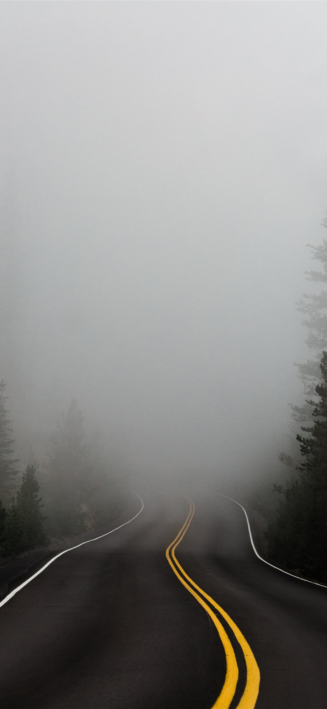 Latest Fog iPhone HD Wallpaper
