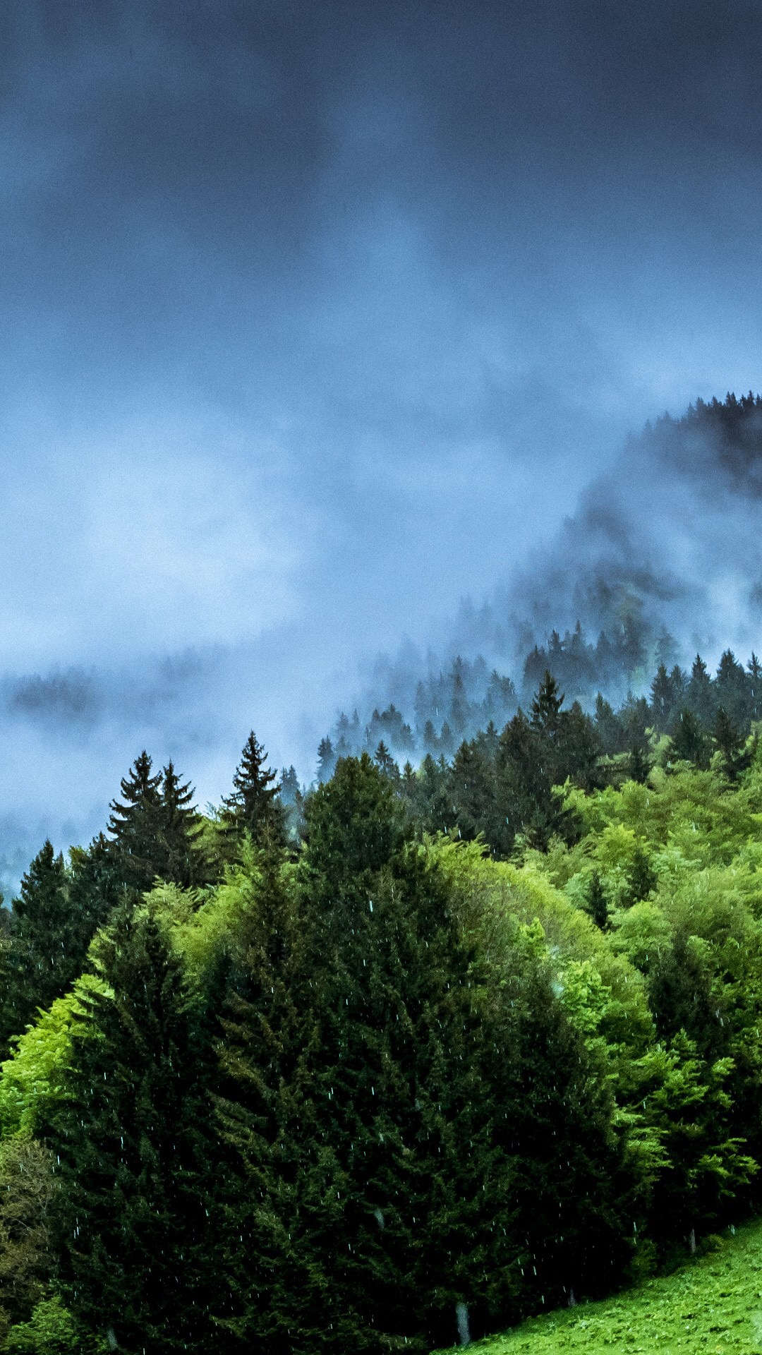 Green Forests Mist Fog Mountains IPhone Wallpaper Wallpaper, IPhone Wallpaper