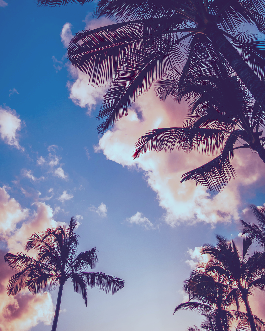 Best Retro Summer Wallpaper for iPhone 11 and iPhone 12