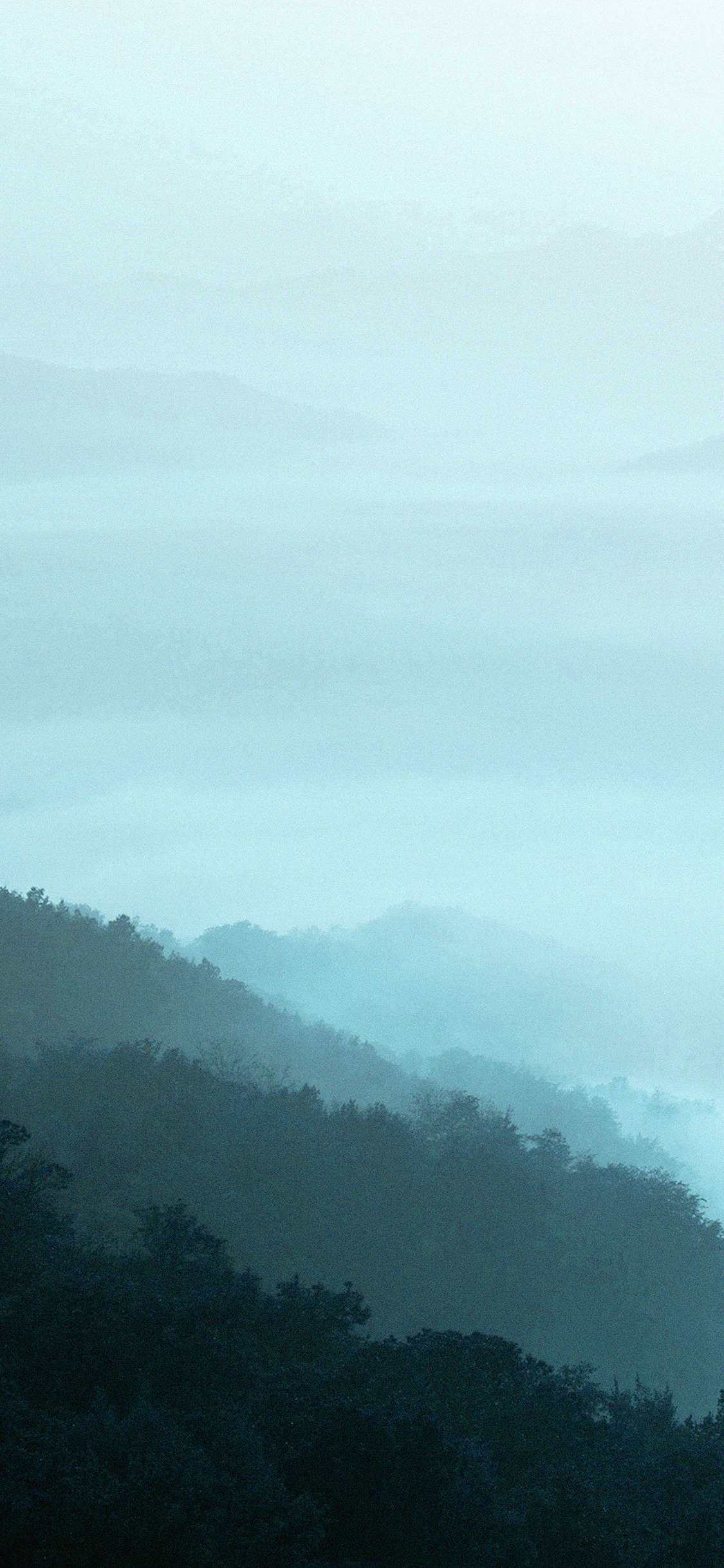 iPhoneXpapers fog green nature