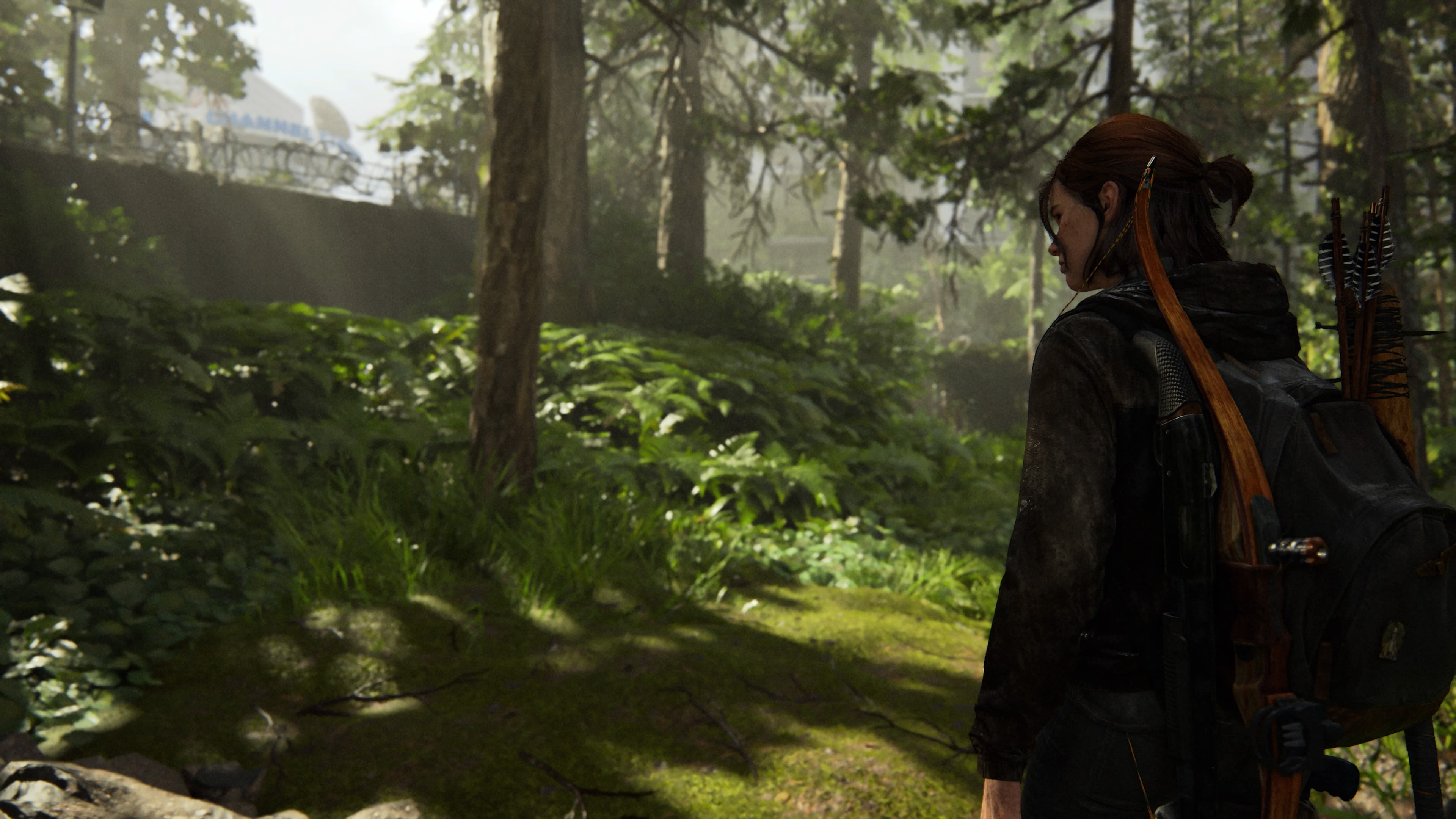 Wallpaper : The Last of Us, Ellie Williams, PlayStation