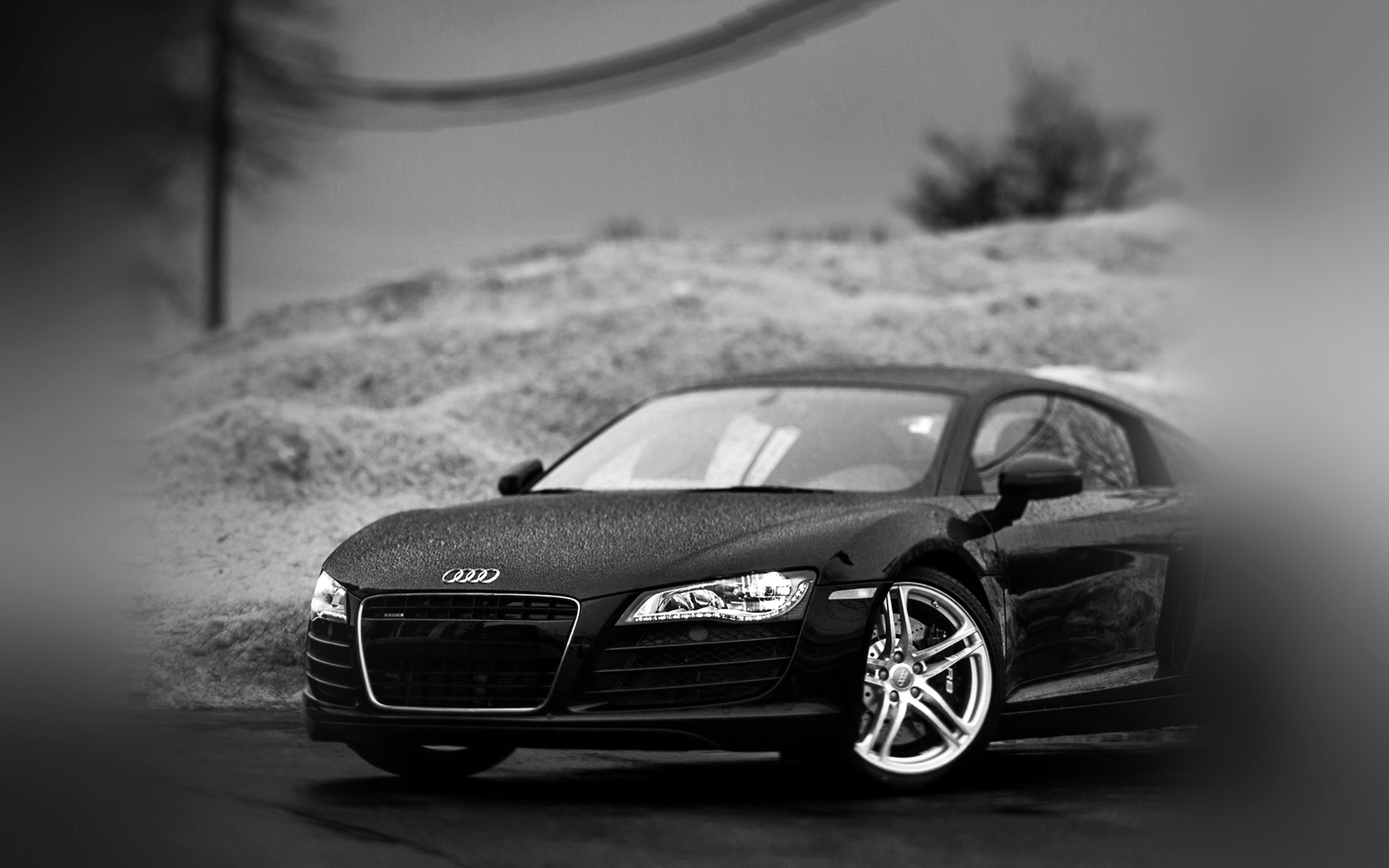 Audi Car Rain Illustration Art Bw Dark