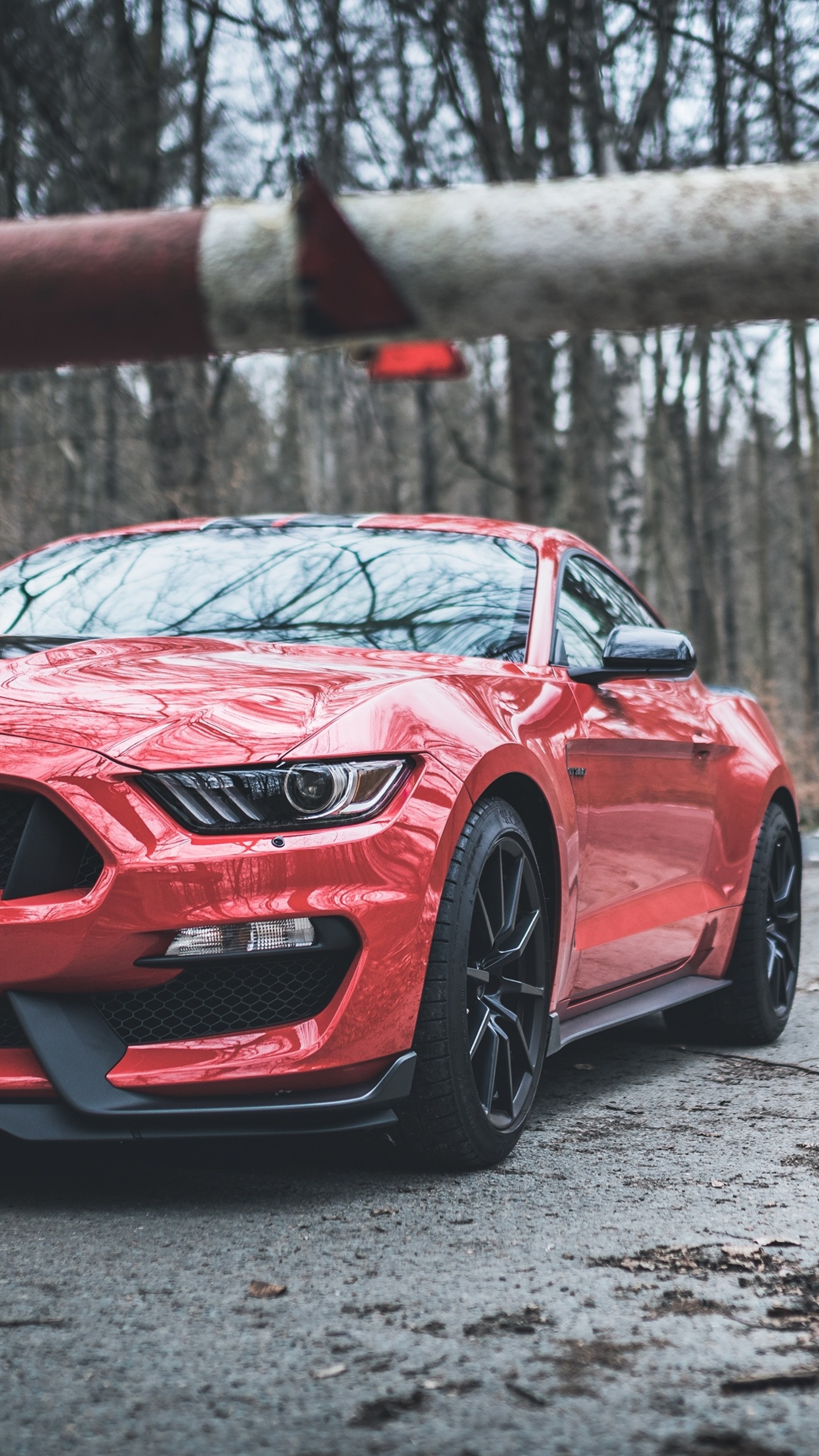 ford mustang, ford, cars, hd, 4k Gallery HD Wallpaper