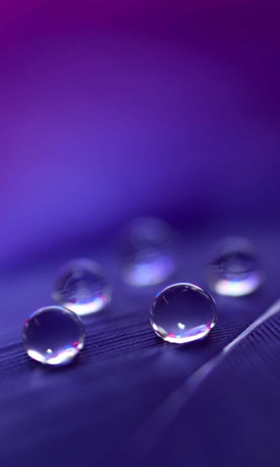 Download Captivating Mountains at Sunset