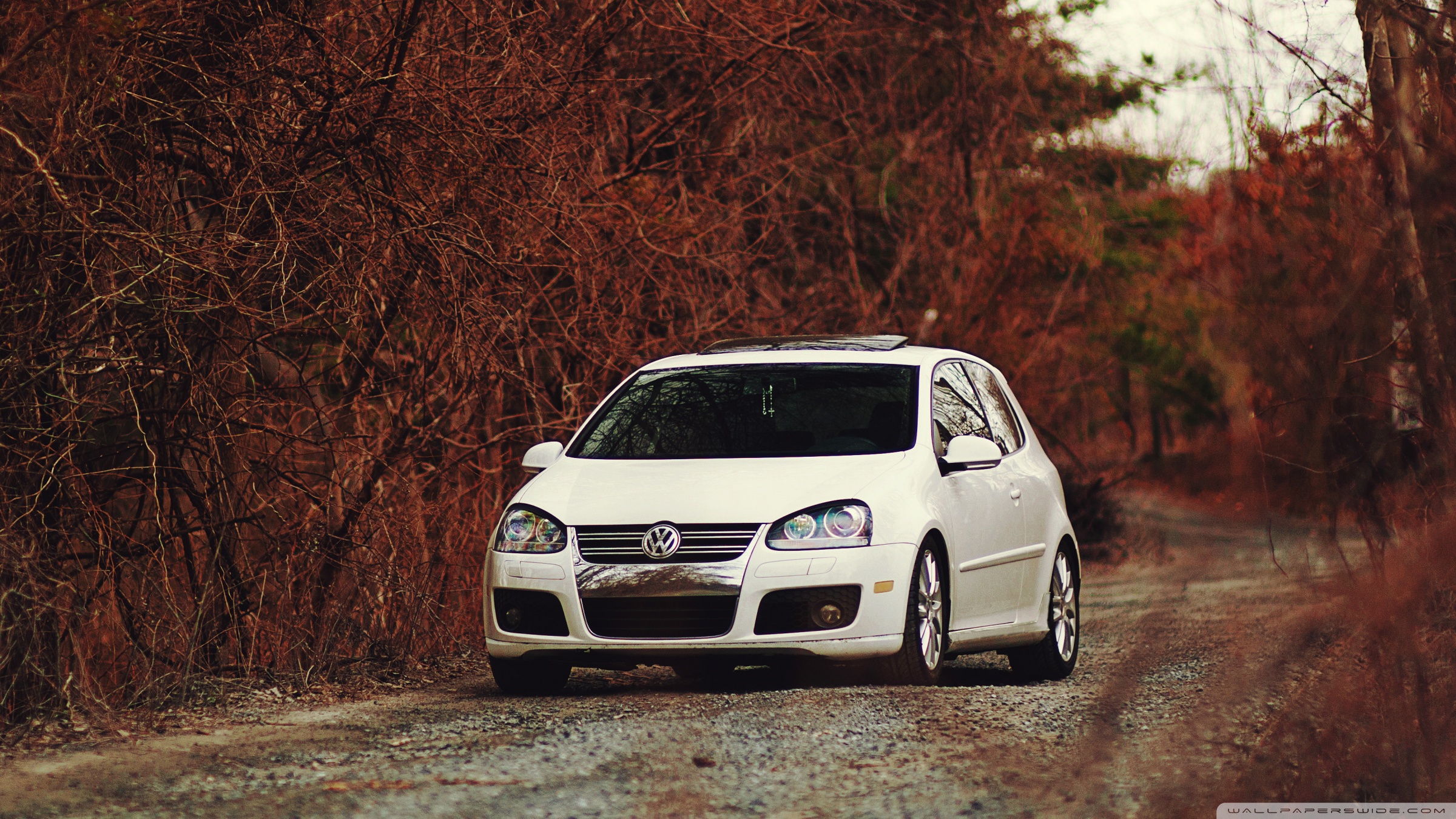 VW Golf 5 GTI Autumn Ultra HD Desktop Background Wallpaper for: Multi Display, Dual Monitor, Tablet