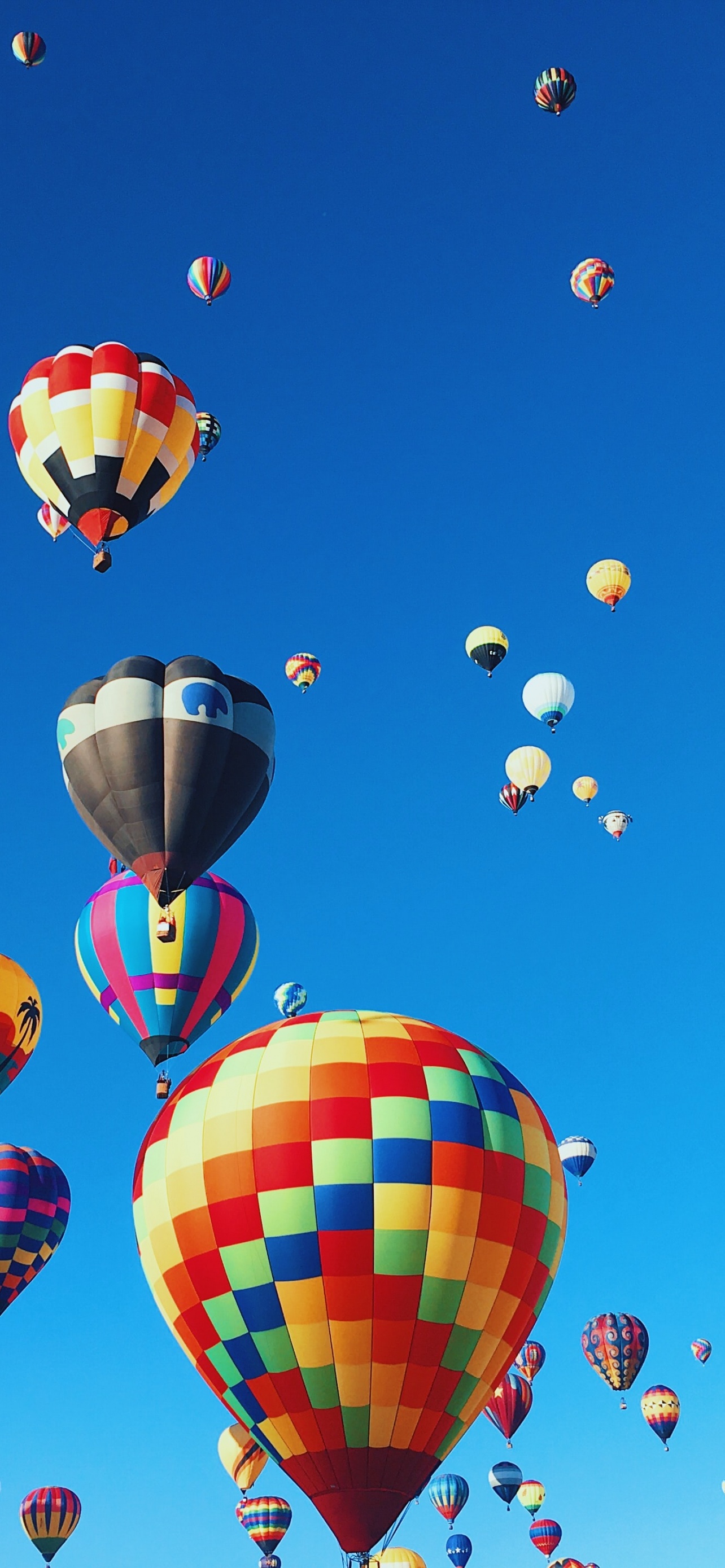Hot air balloons Wallpaper 4K, Festival, Colorful, Blue Sky