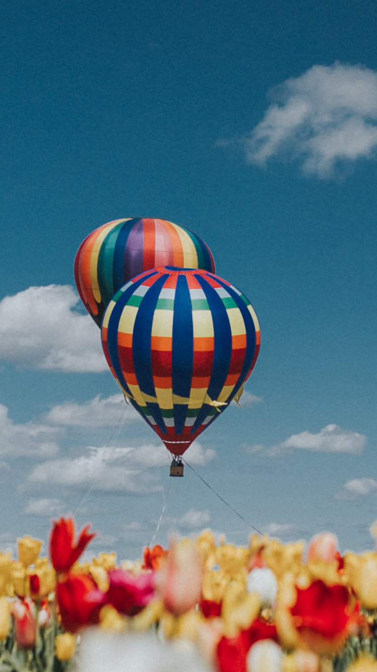 Download Wallpaper 750x1334 Hot Air Balloons, White Red Yellow Tulips, Farm, Iphone 7, Iphone 8, 750x1334 HD Background, 22968