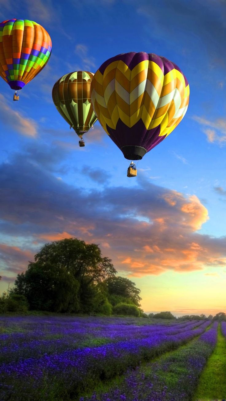 Rainbow Colored Air Balloons htc one wallpaper. Hot air balloon, Hot air balloon rides, Air balloon rides