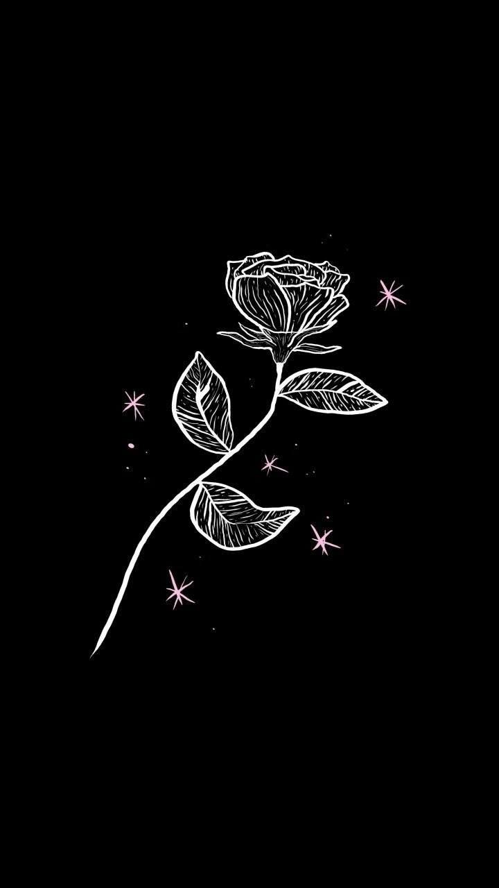 Black Aesthetic Rose Wallpaper Download