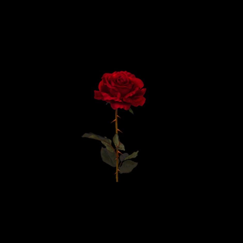 Back by Bugsy Ocampo #, #spon, #Ocampo, #music, #singles, #listen #Affiliate. Black background wallpaper, Flowers black background, Black background