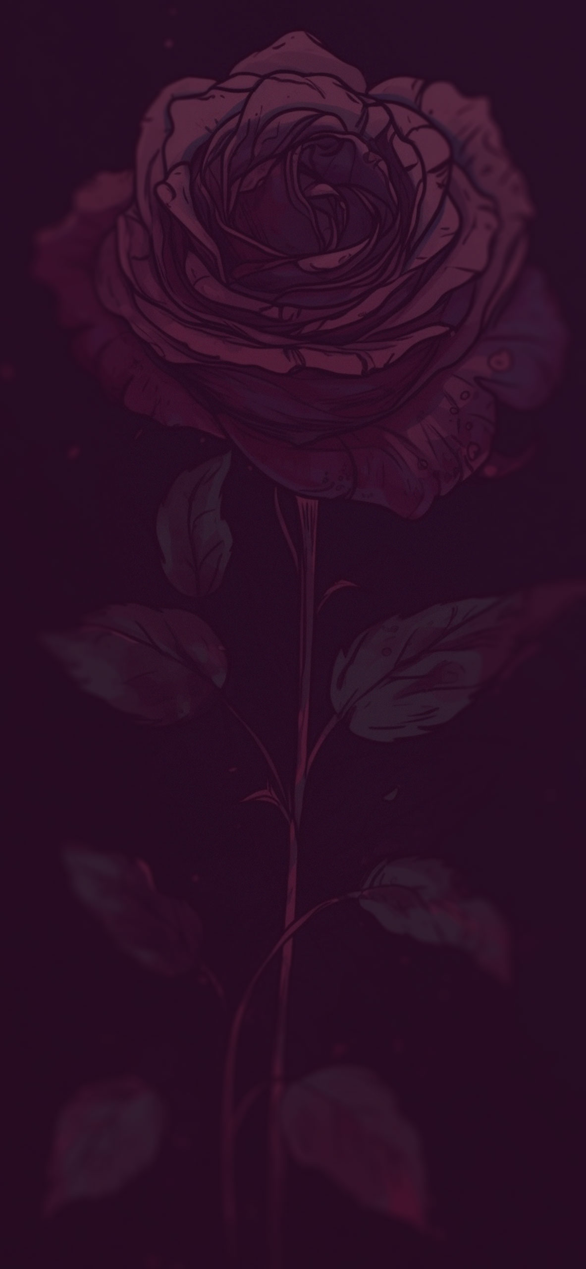 Beautiful Rose Dark Wallpaper Wallpaper for iPhone 4k