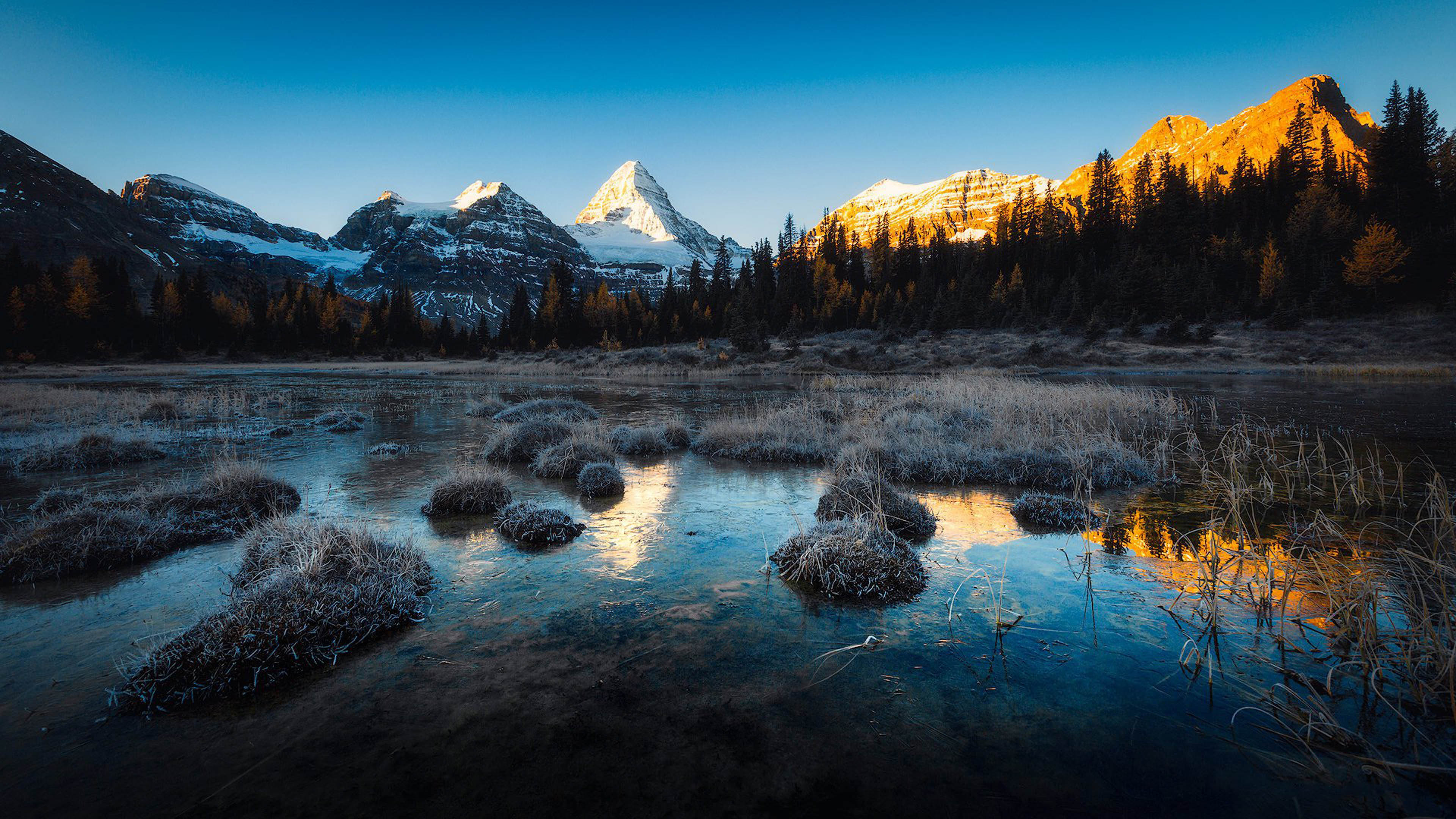 Landscape Wallpaper (image inside)