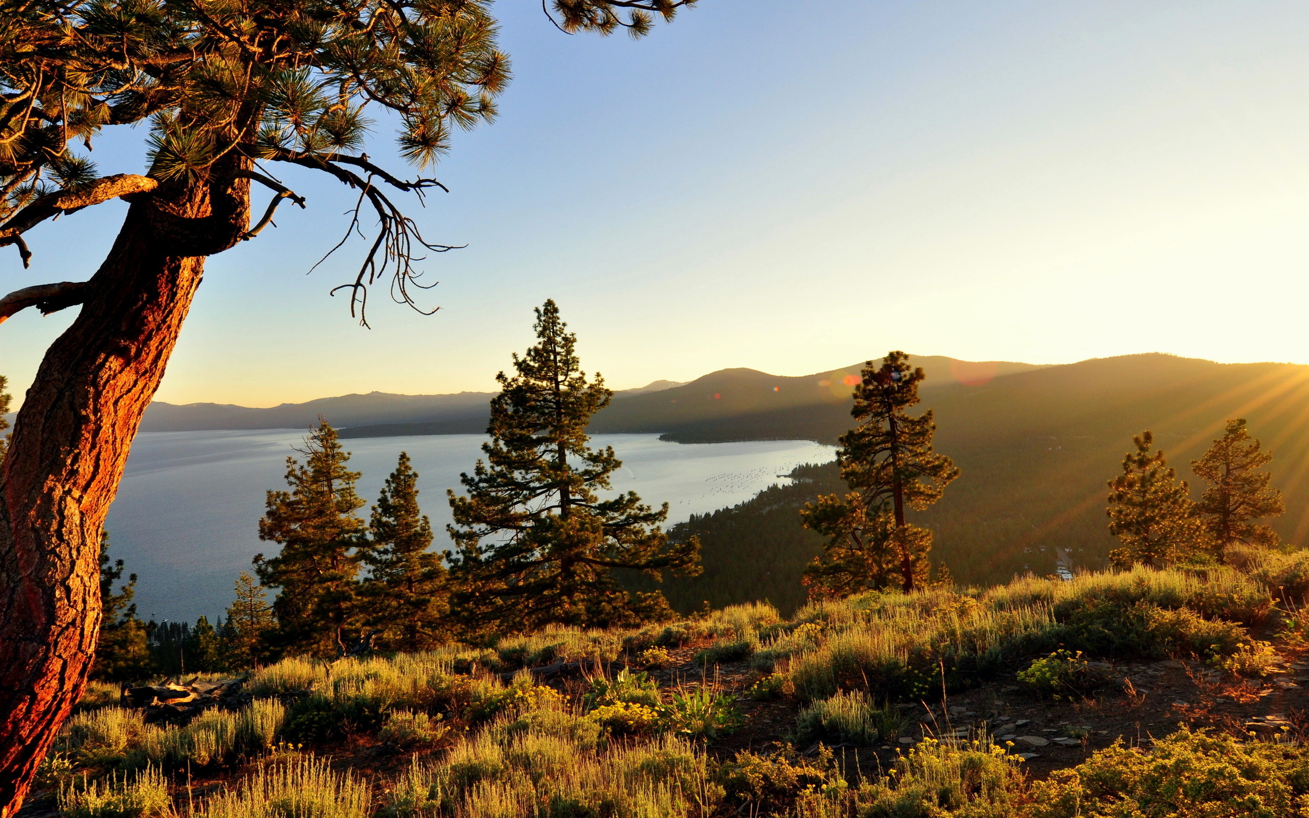 Lake Tahoe Wallpaper Free Download