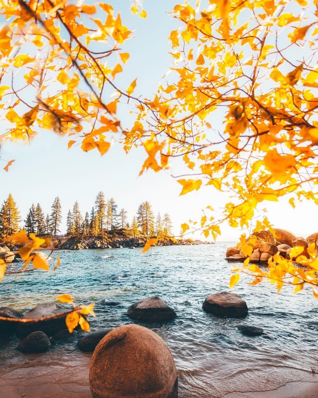 Tahoe's fall foliage puts us in the perfect autumn mood to sit by the lake and enjoy the quieter side of Lake Tahoe. Who's pl. North lake tahoe, Lake tahoe, Tahoe