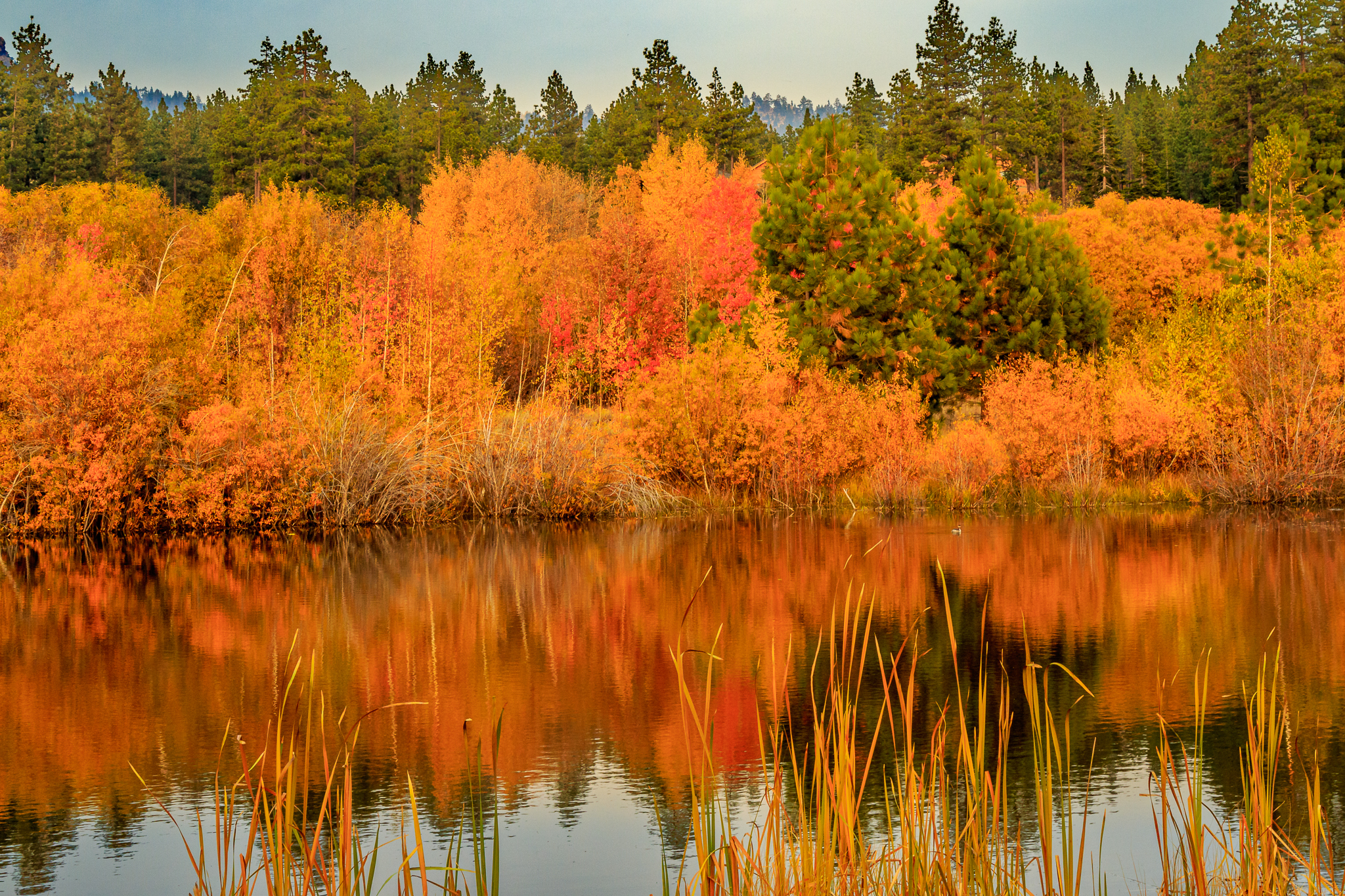 A Fall Visit to Lake Tahoe