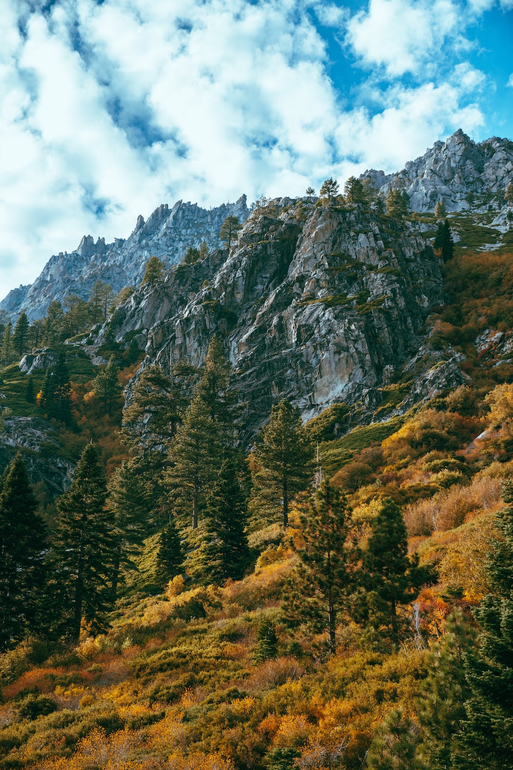 Grass and tree covered hills and rocky mountains during day photo