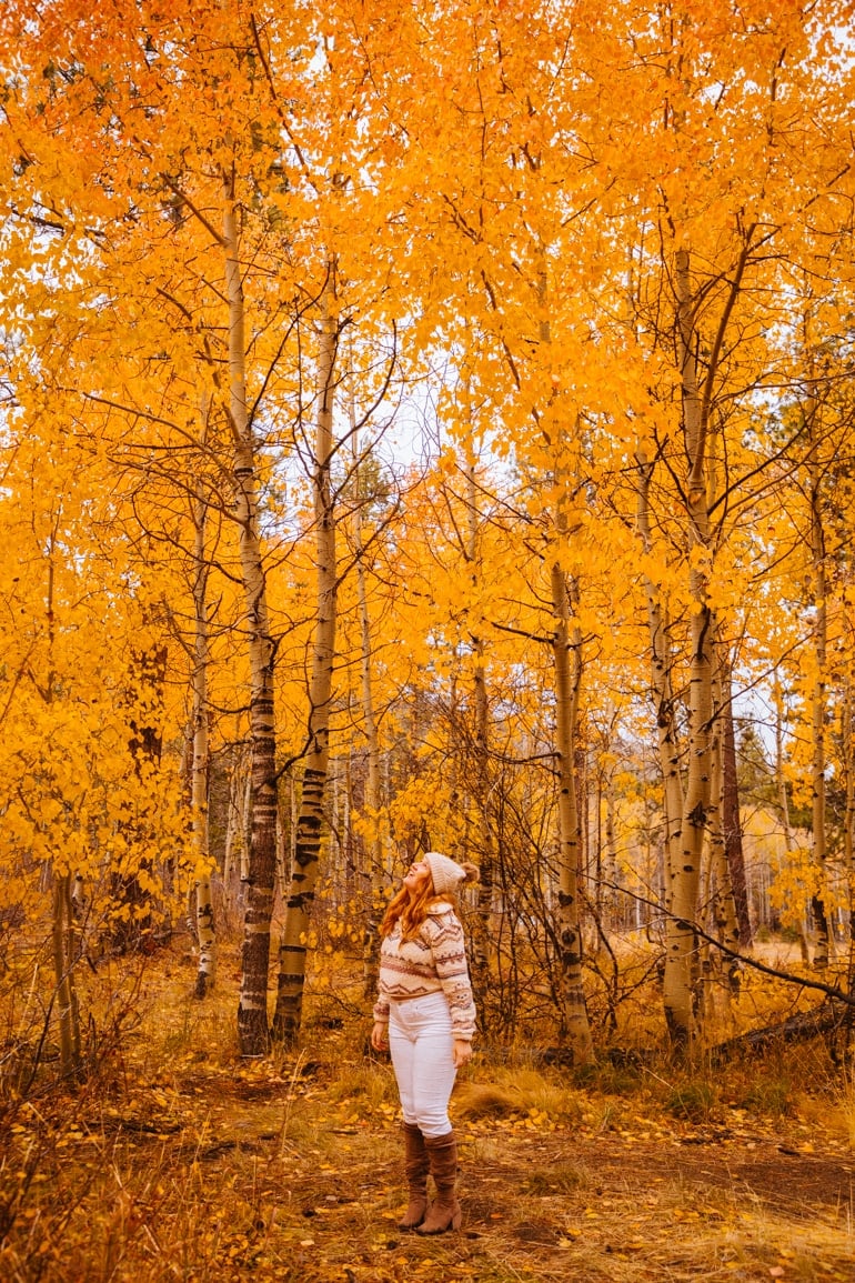 Spots To Find Stunning Lake Tahoe & Hope Valley Fall Colors This Autumn