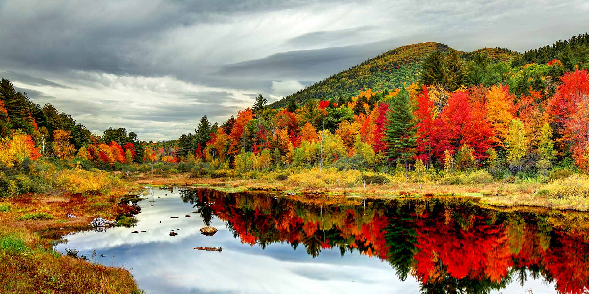 How to Plan Your Fall Foliage Tour this Autumn