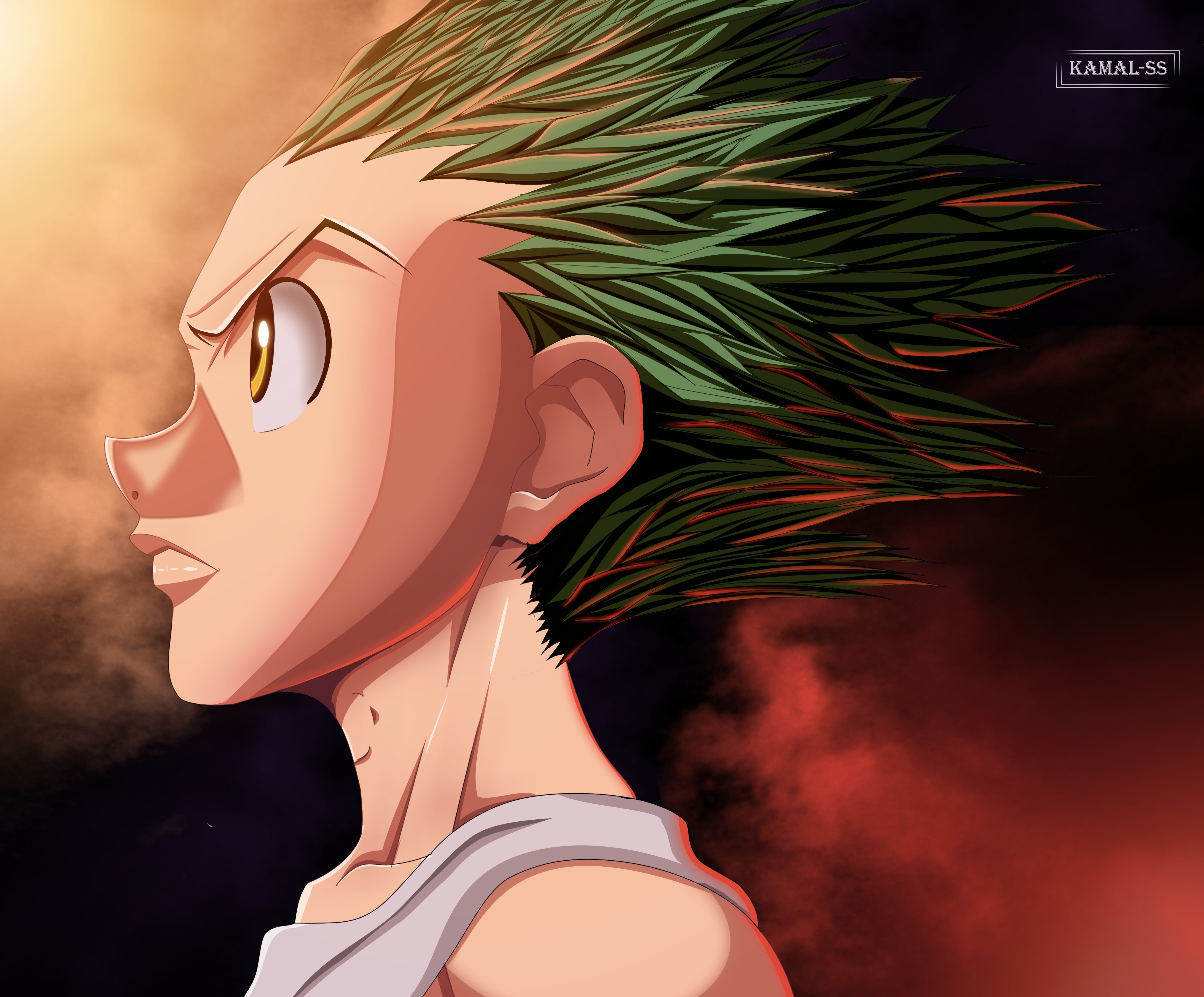 Download Gon Freecss Anime Hunter X