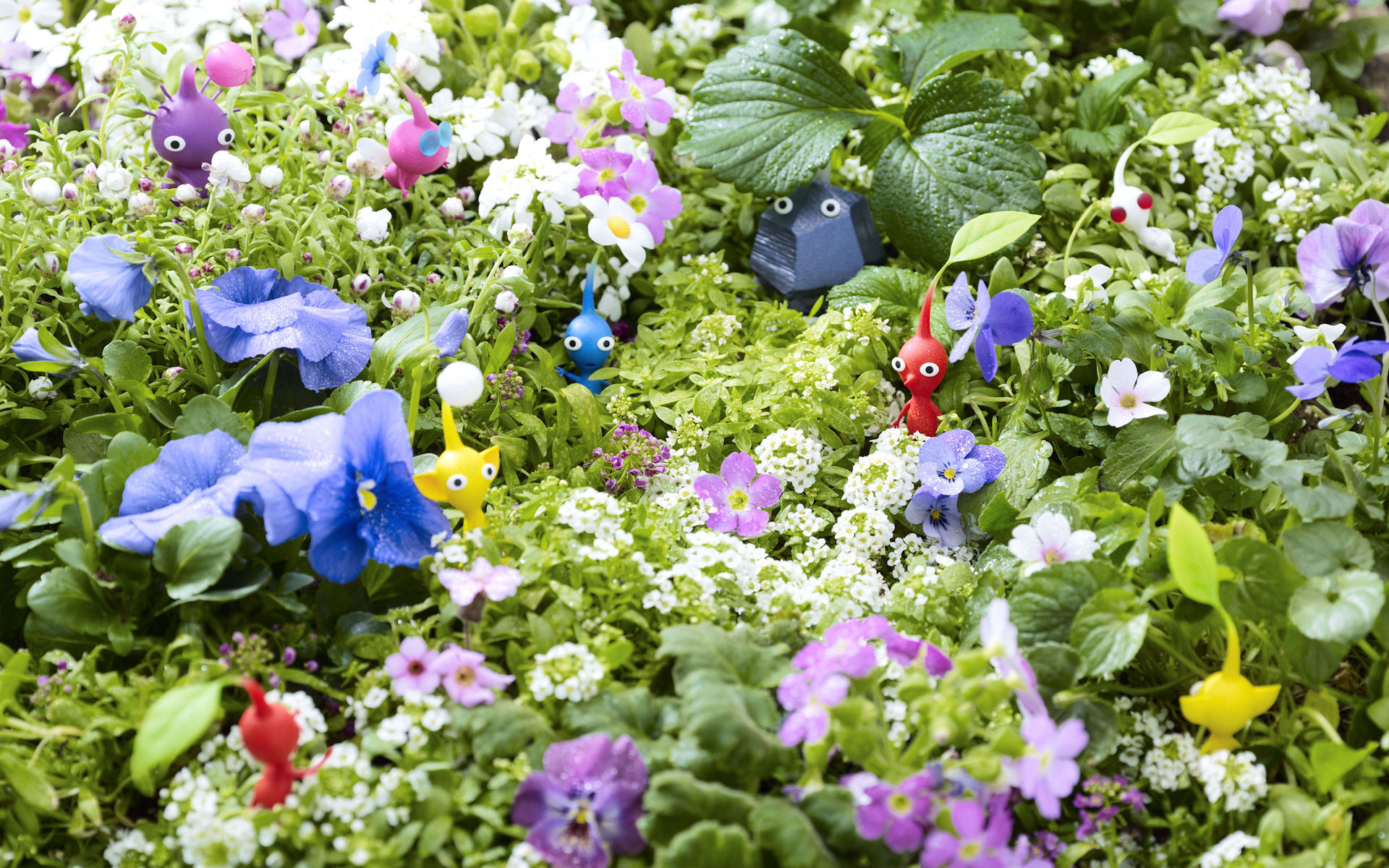 Free download Pikmin Wallpaper HD [1920x1200] for your Desktop, Mobile & Tablet. Explore Pikmin Wallpaper