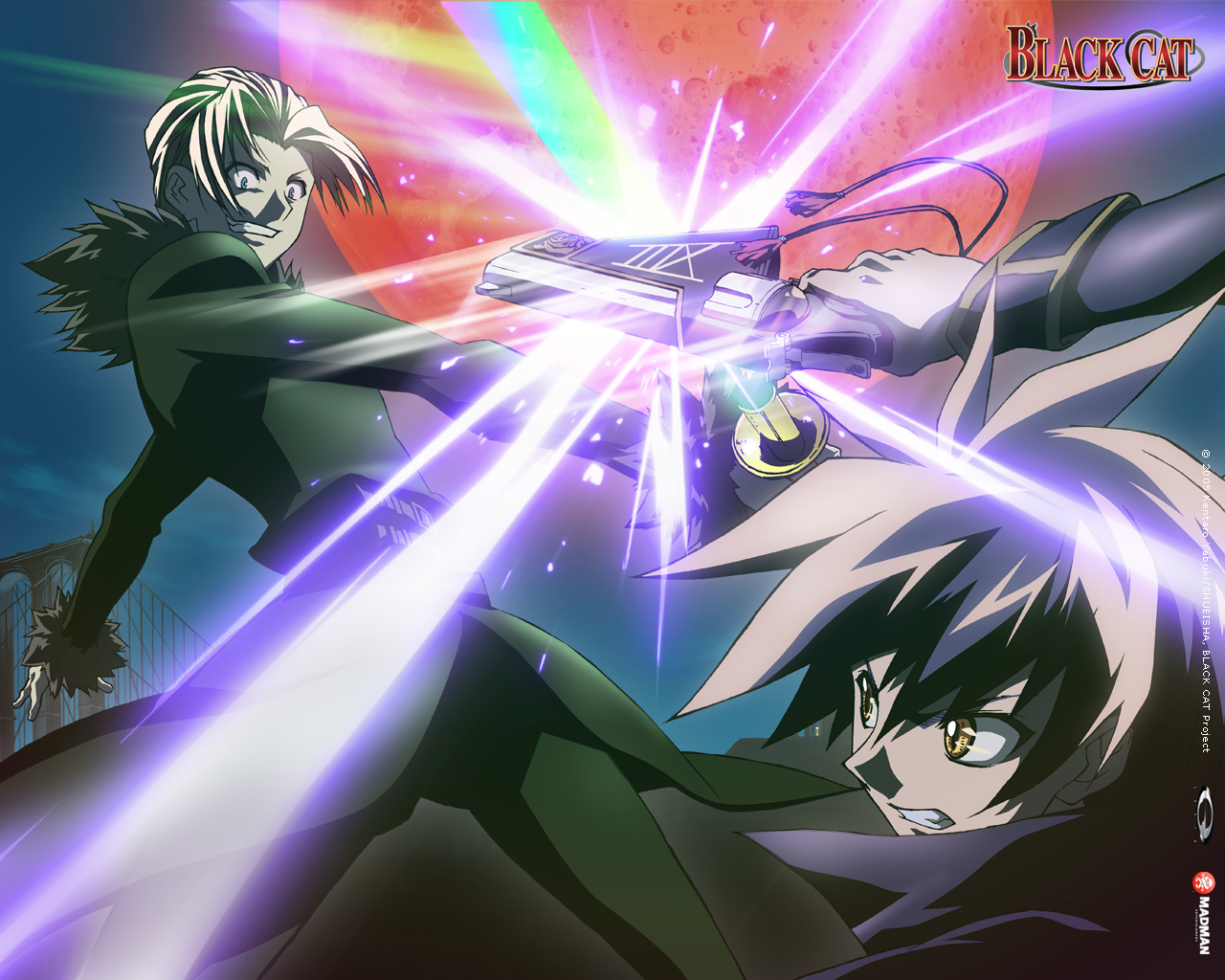 Mobile wallpaper: Anime, Black Cat, 1434036 download the picture for free