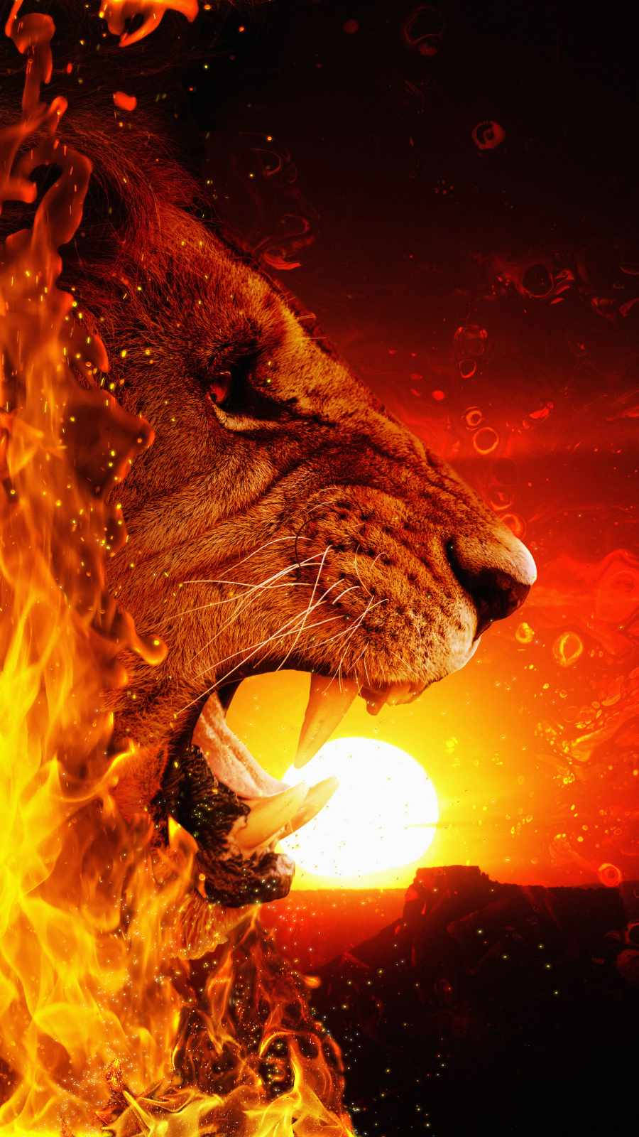 iPhone Fire Lion Head Wallpaper