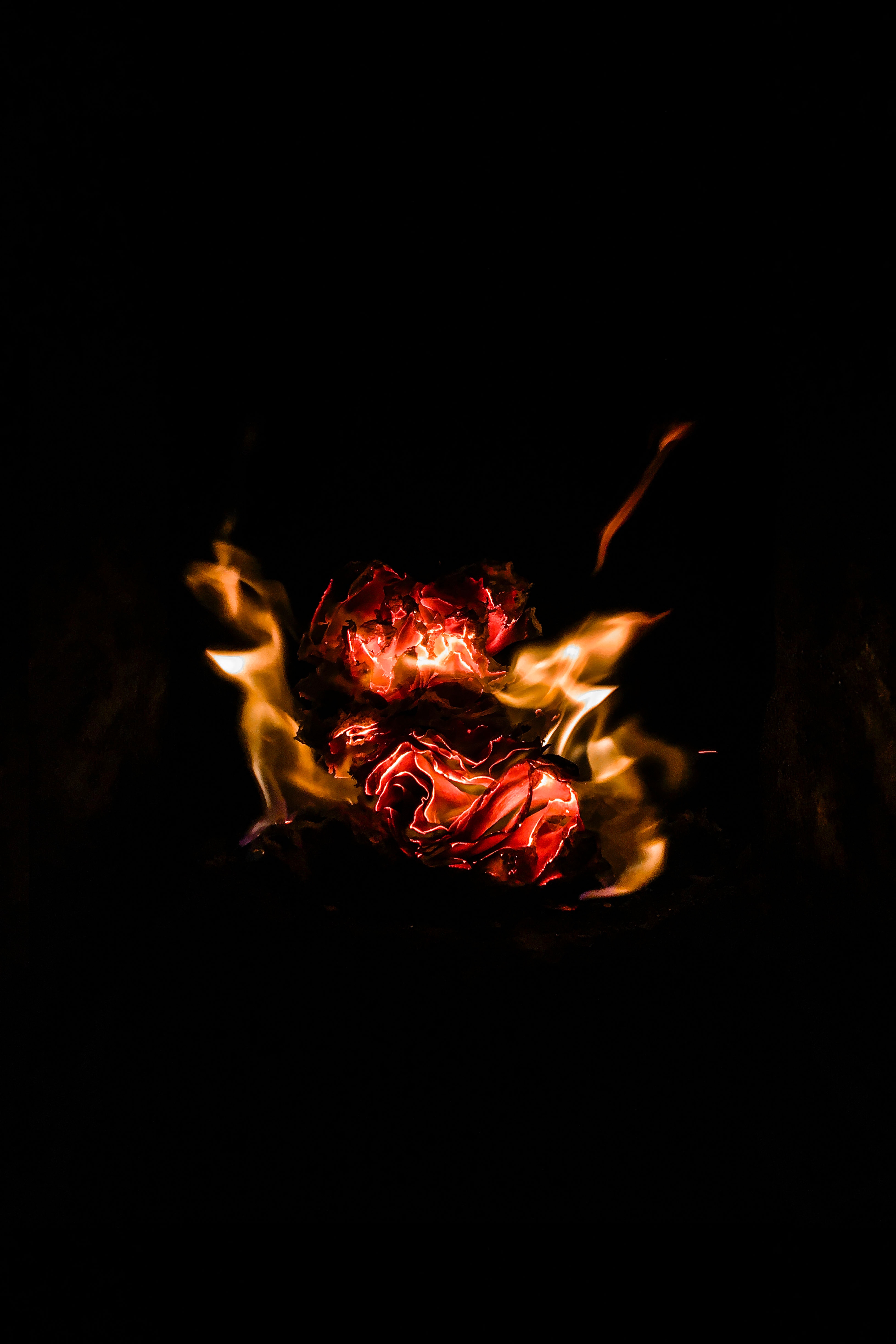 6,Best Fire Photo · 100% Free Downloads