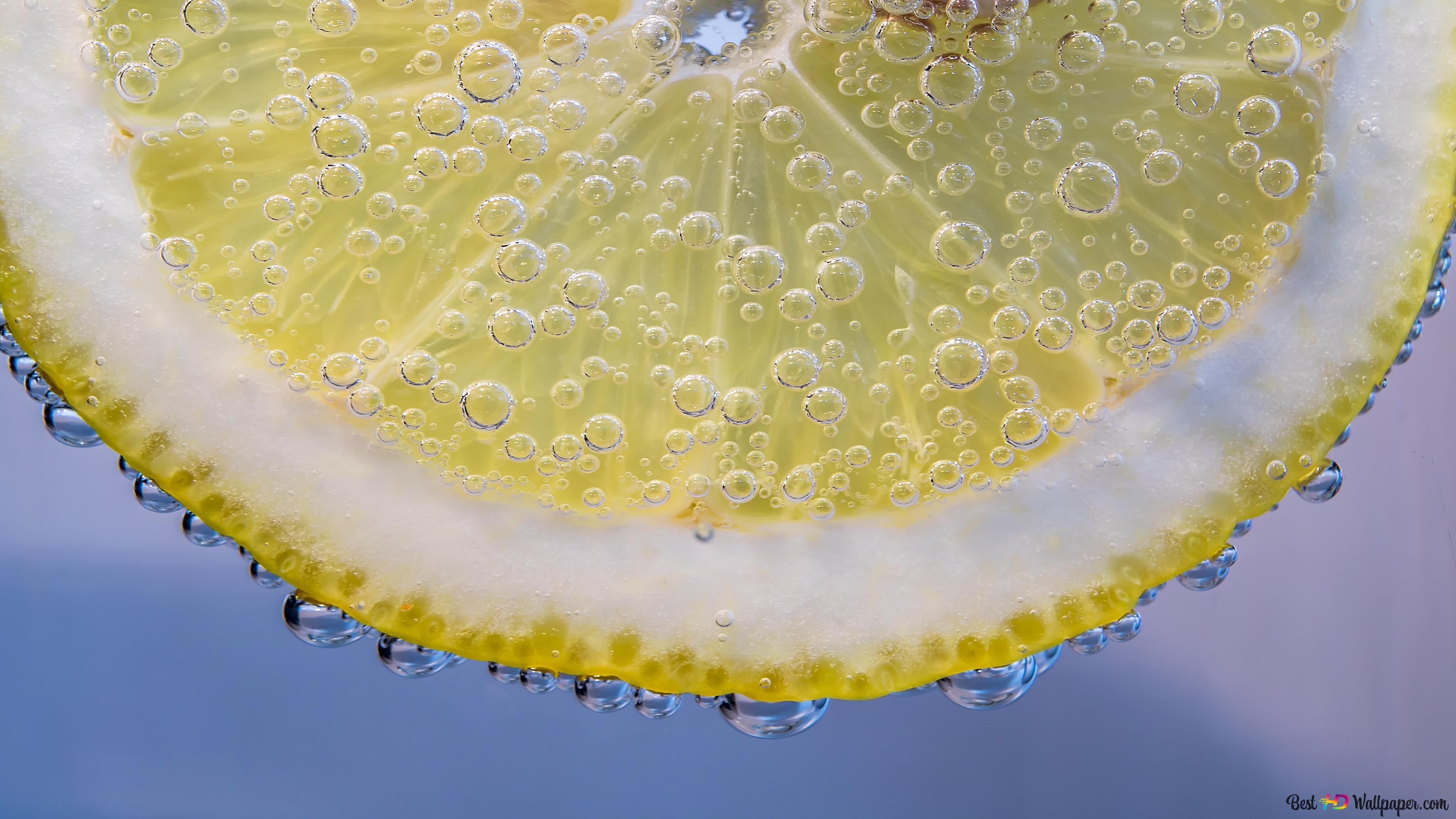 slice of lemon 4K wallpaper download
