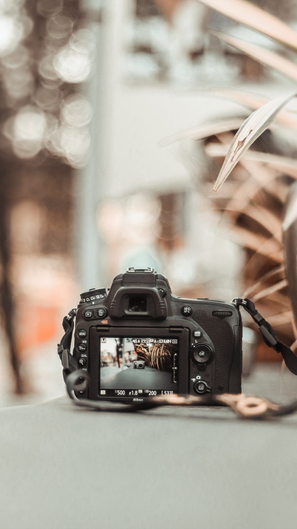 Photography wallpaper