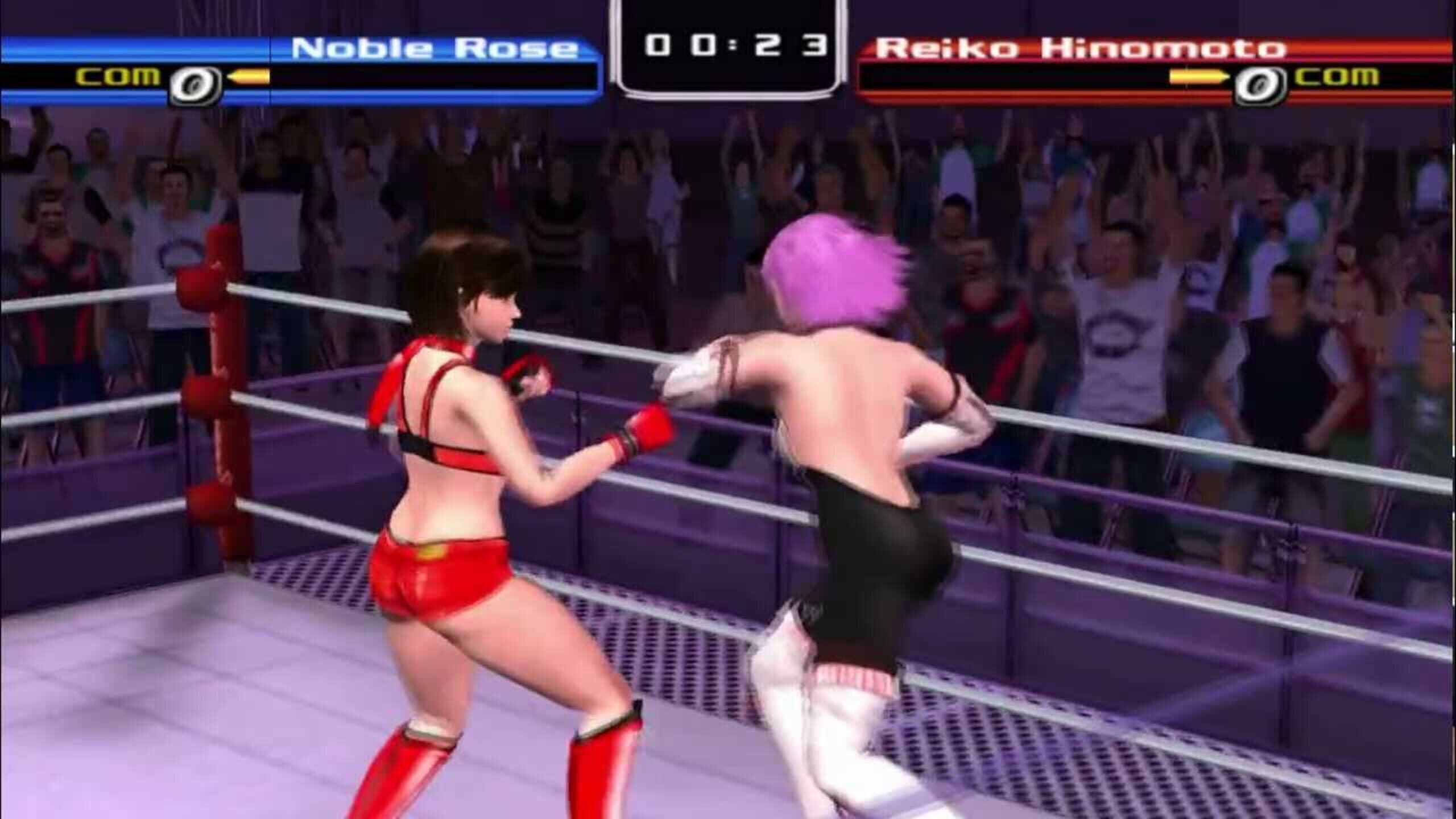Rumble Roses Server Status: Is Rumble Roses Down Right Now?