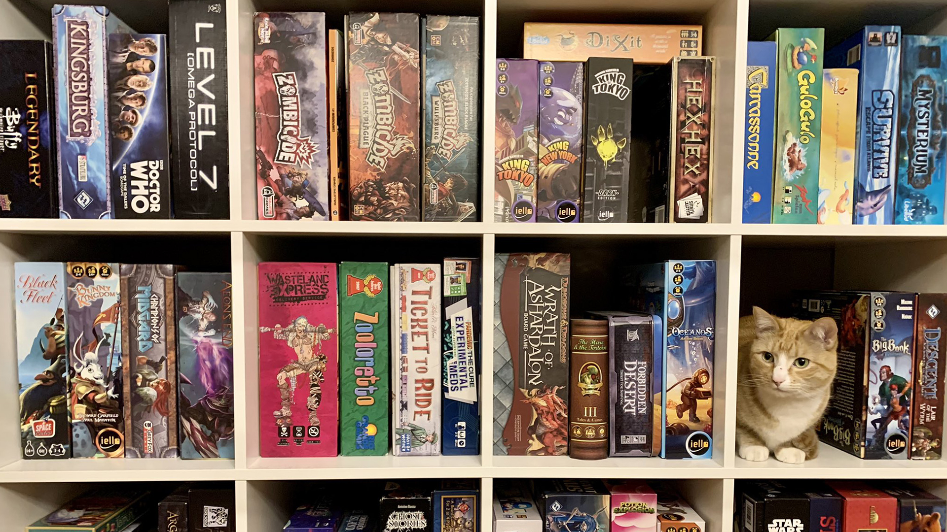 Board games collection shelf