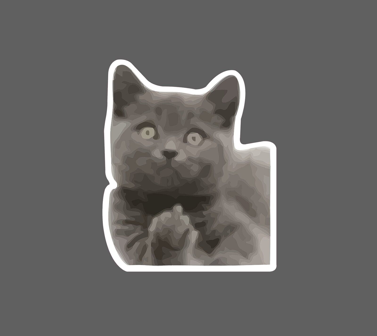 Cat Middle Finger Sticker Waterproof NEW Any 4 For $1.75 EACH Storewide!