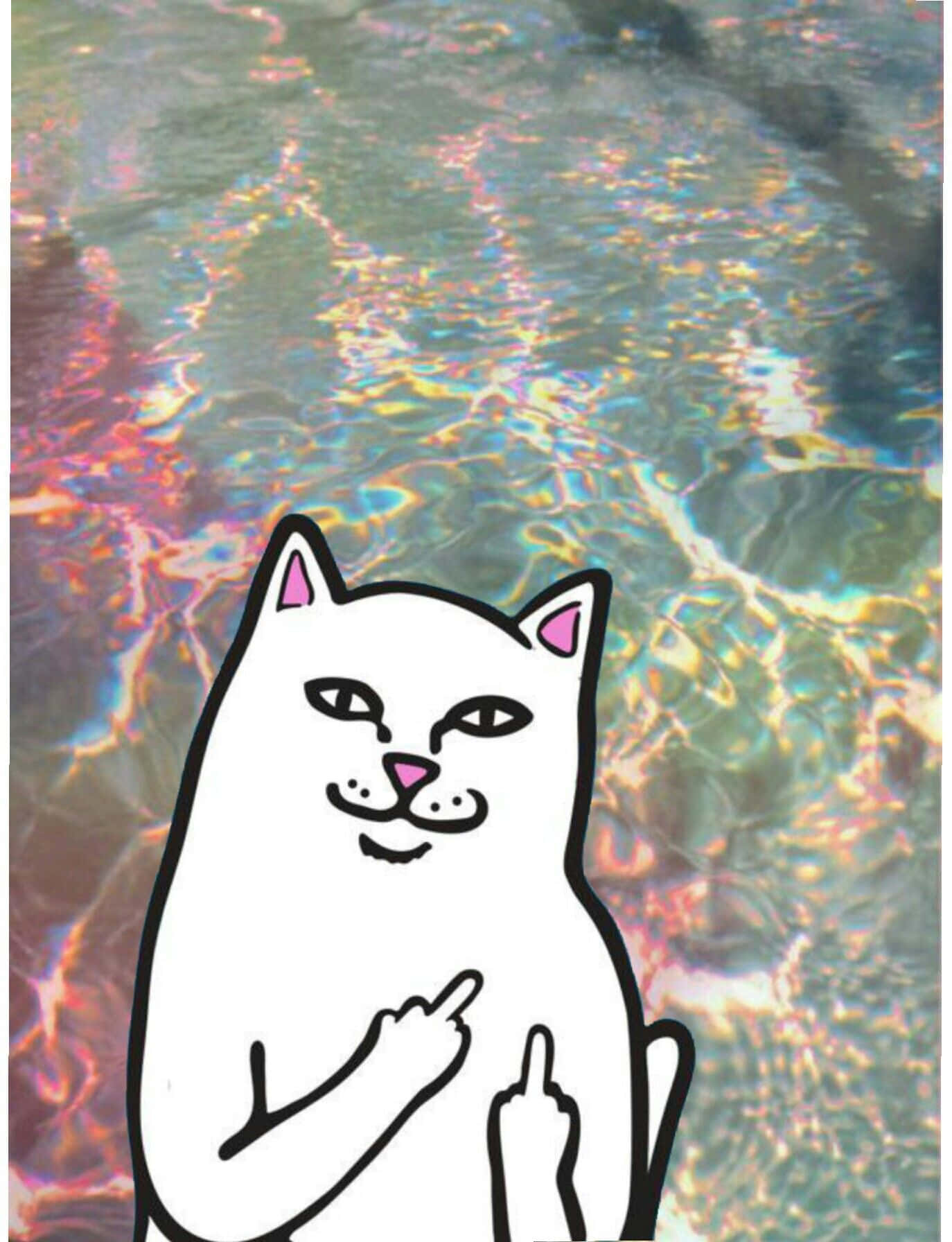 Download A Cat Is Standing In The Water With A Paw Up Wallpaper