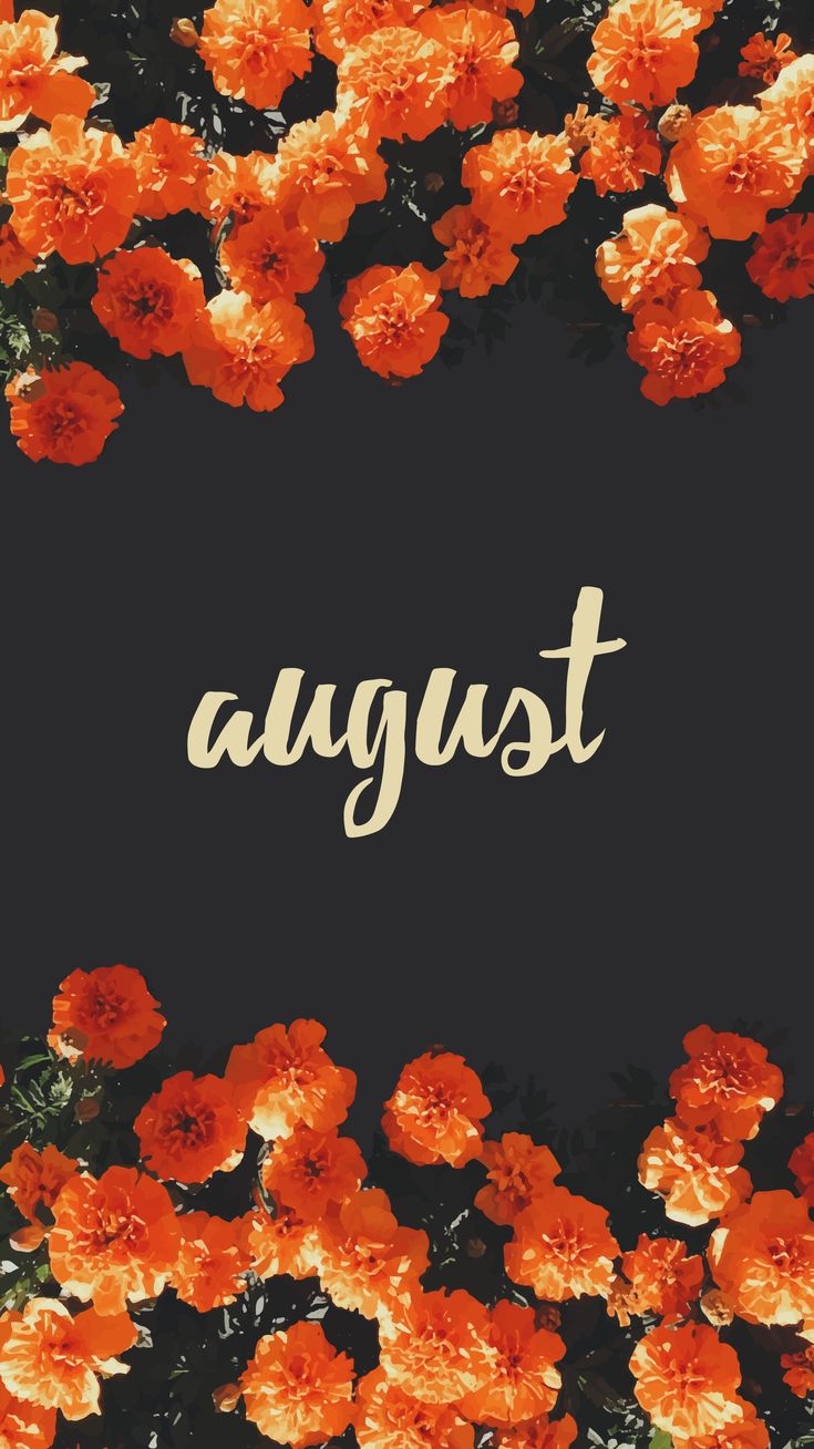 August Wallpaper Explore more 31 Days, August, Gregorian, Holiday, month wallpaper.. August wallpaper, Calendar wallpaper, iPhone background wallpaper