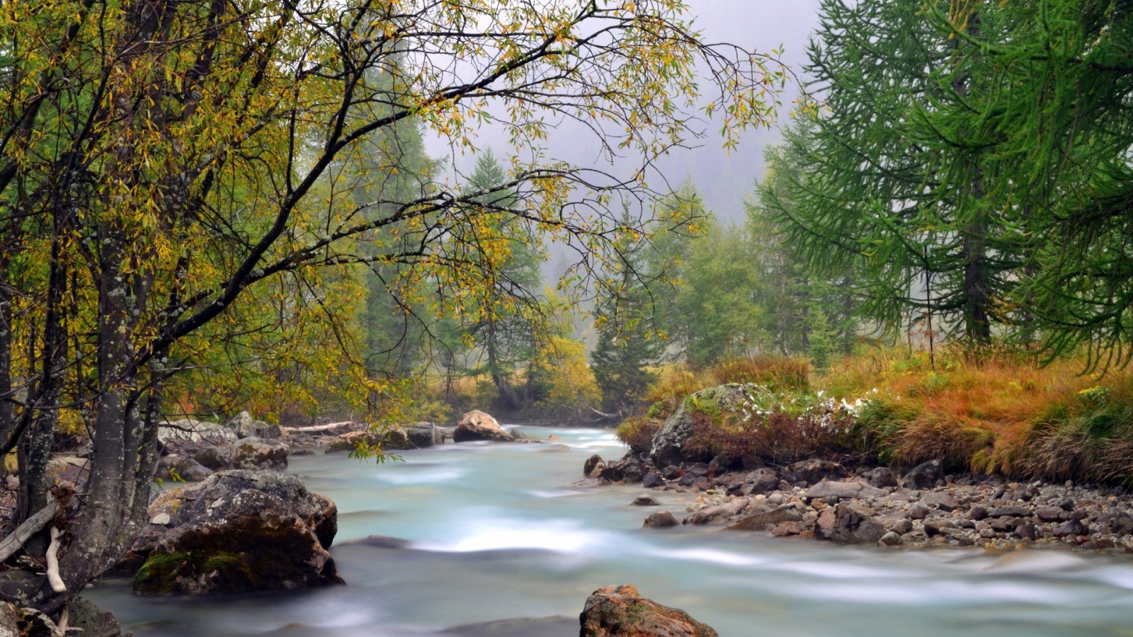 Early fall in the river Desktop wallpaper 1600x900