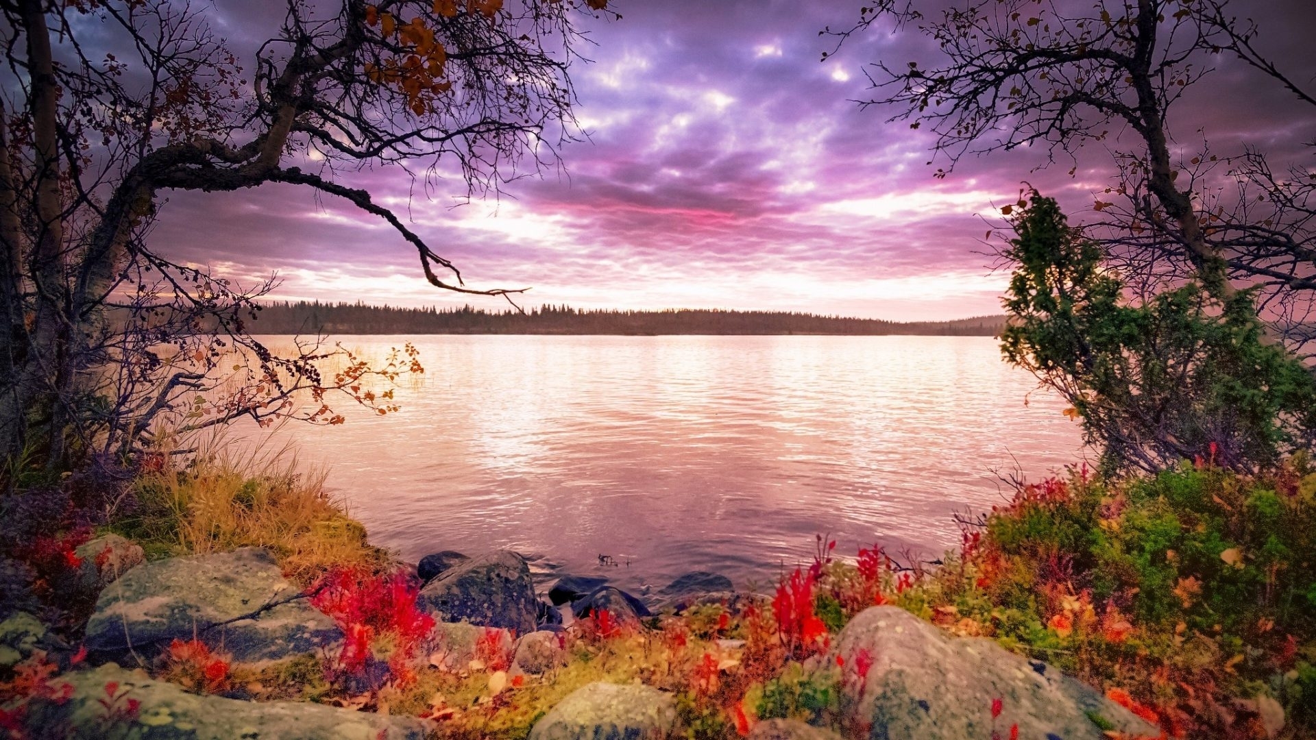 Wallpaper / image, orange, background, clouds, cenario, nice, stones, scenario, wallpaper, reflection, early, sky, trees, panorama, water, tranquil, cool, purple, awesome, violet, great, landscape, fall, red, scenic, autumn, brown, 1920x1080