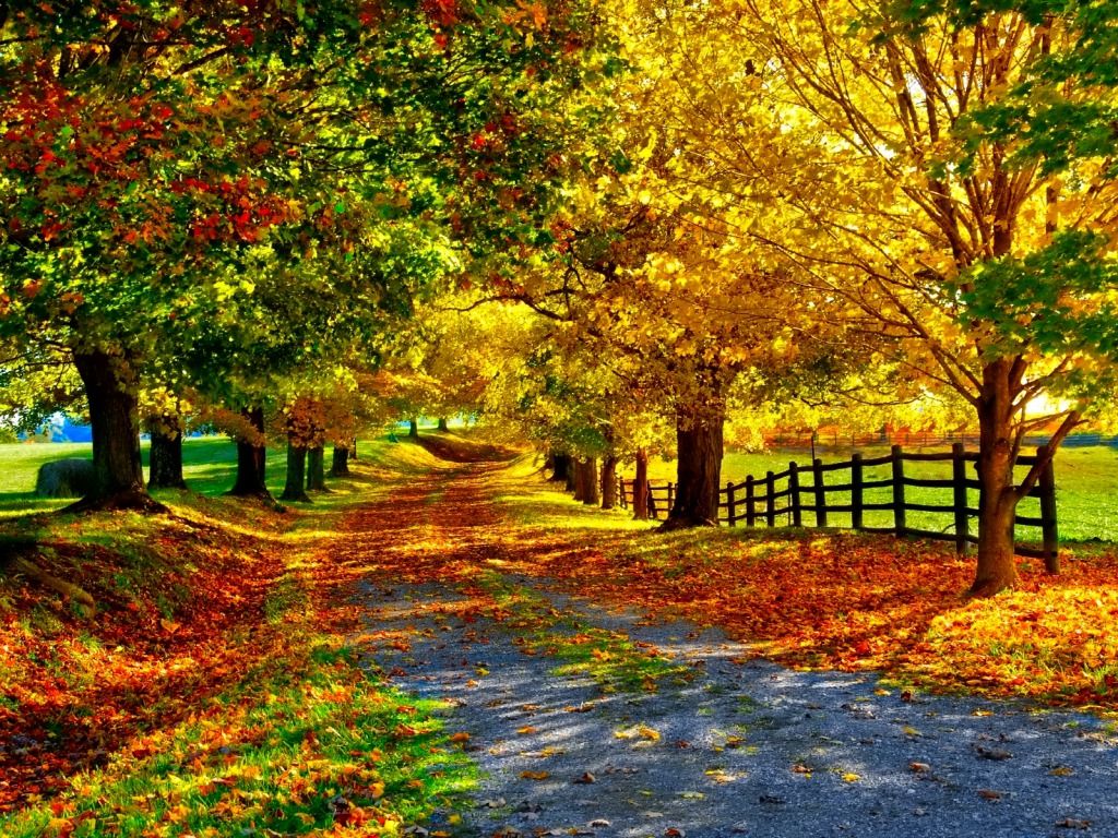 Beautiful Fall Picture Wallpaper