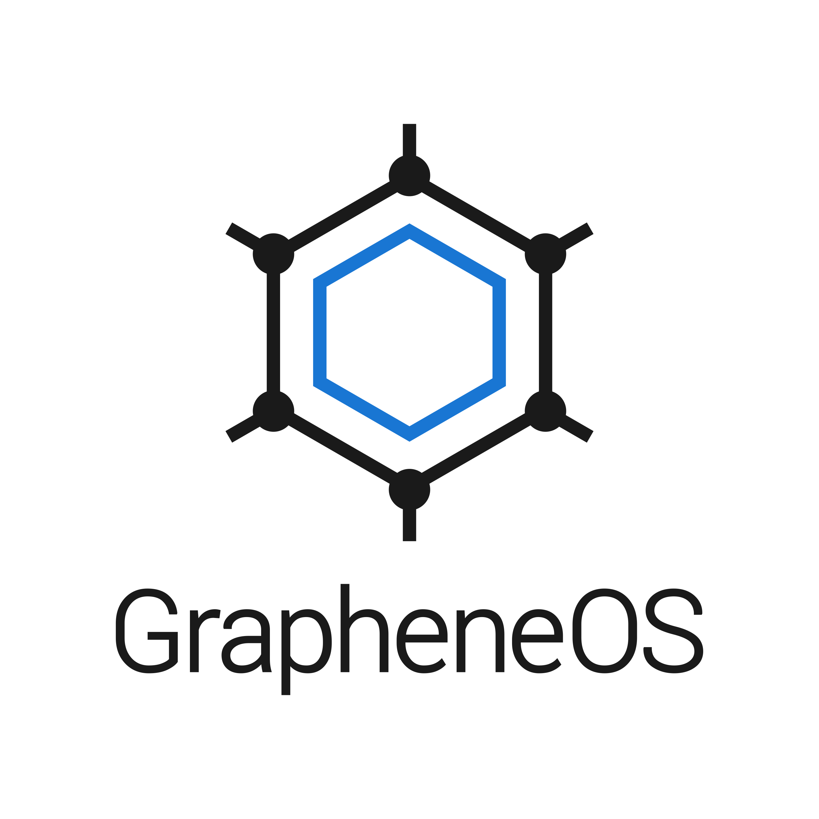 Custom Icon · Issue · GrapheneOS Vanadium · GitHub