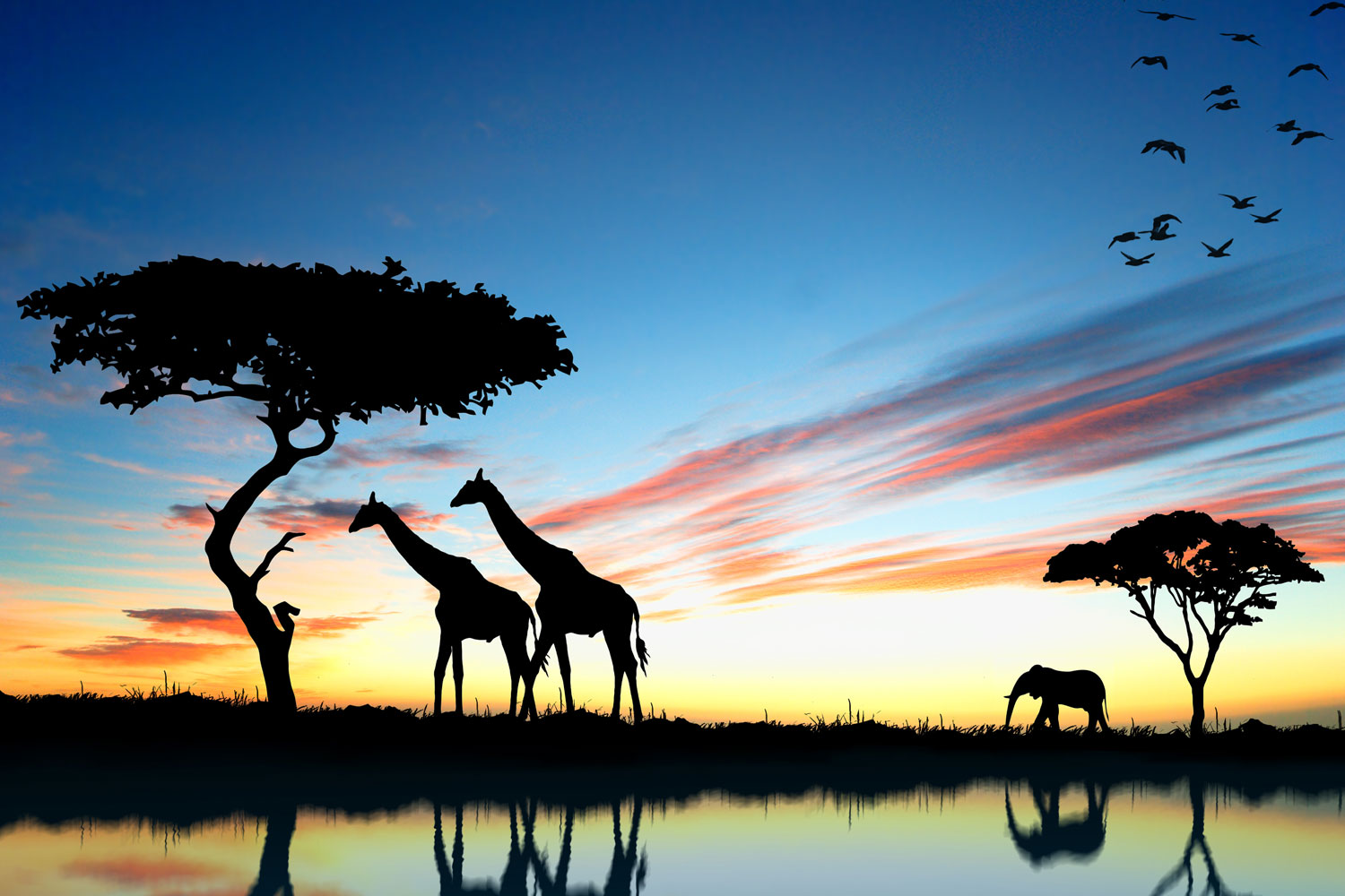 African Landscape