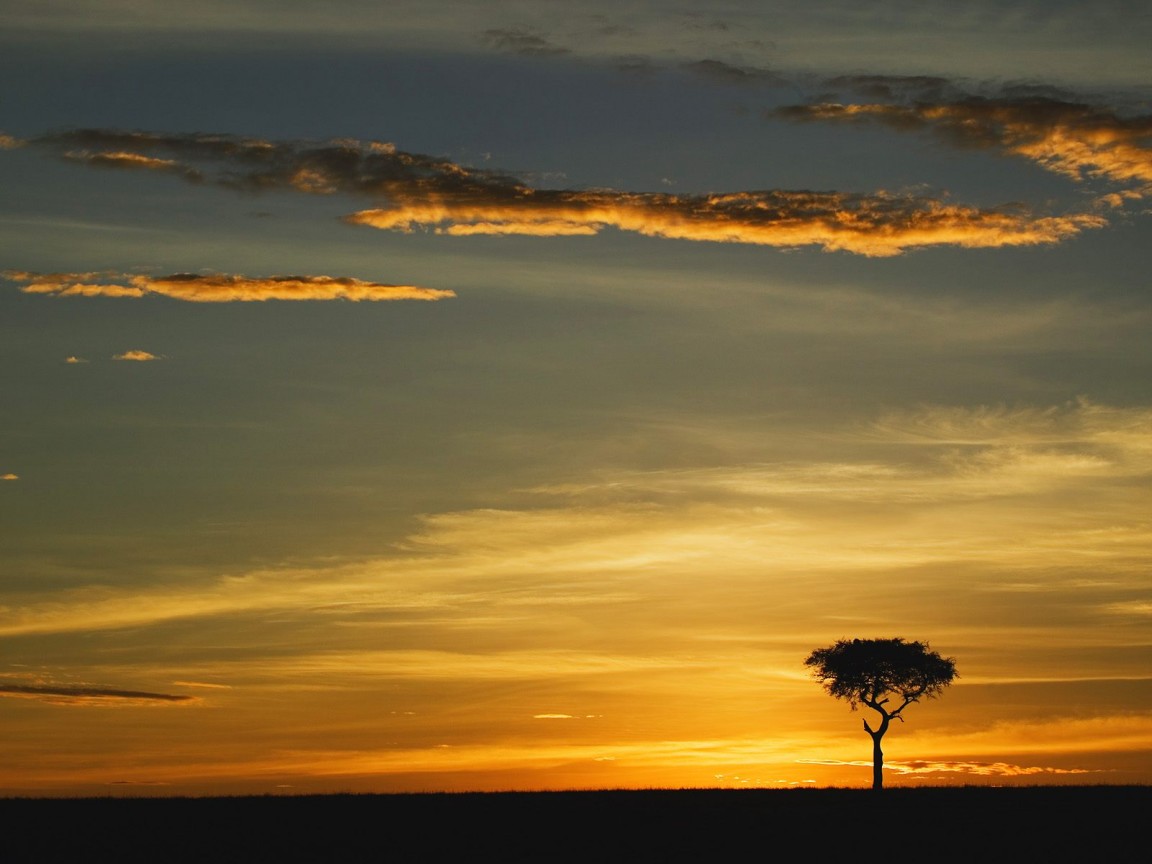 Africa Landscape Wallpaper