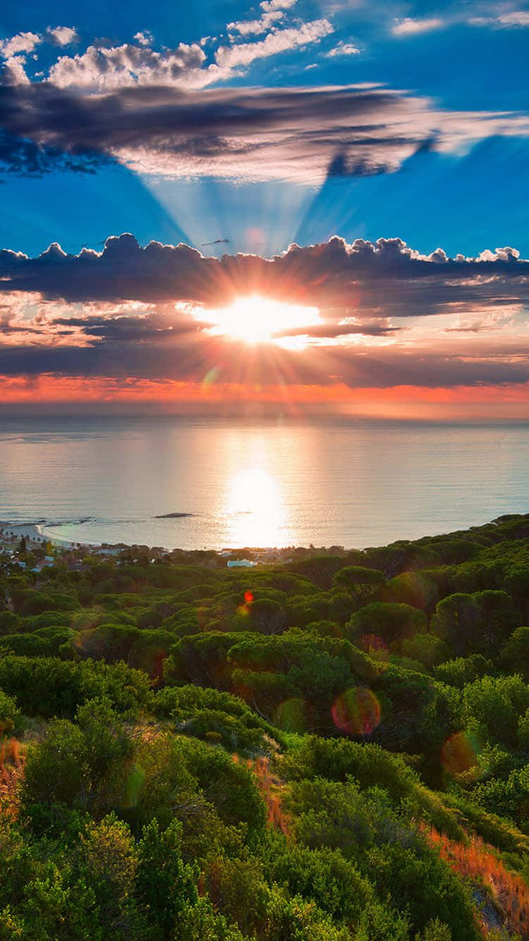 Download Caption: Vibrant African Inspired IPhone Background Wallpaper