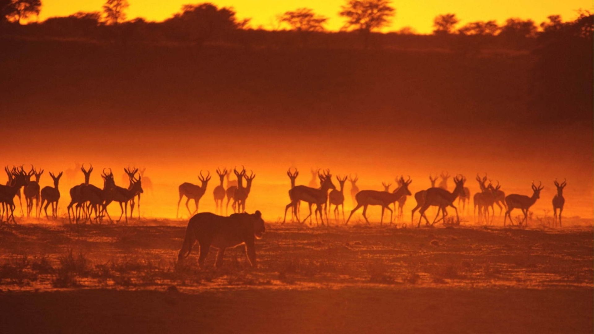 African Landscape Wallpaper