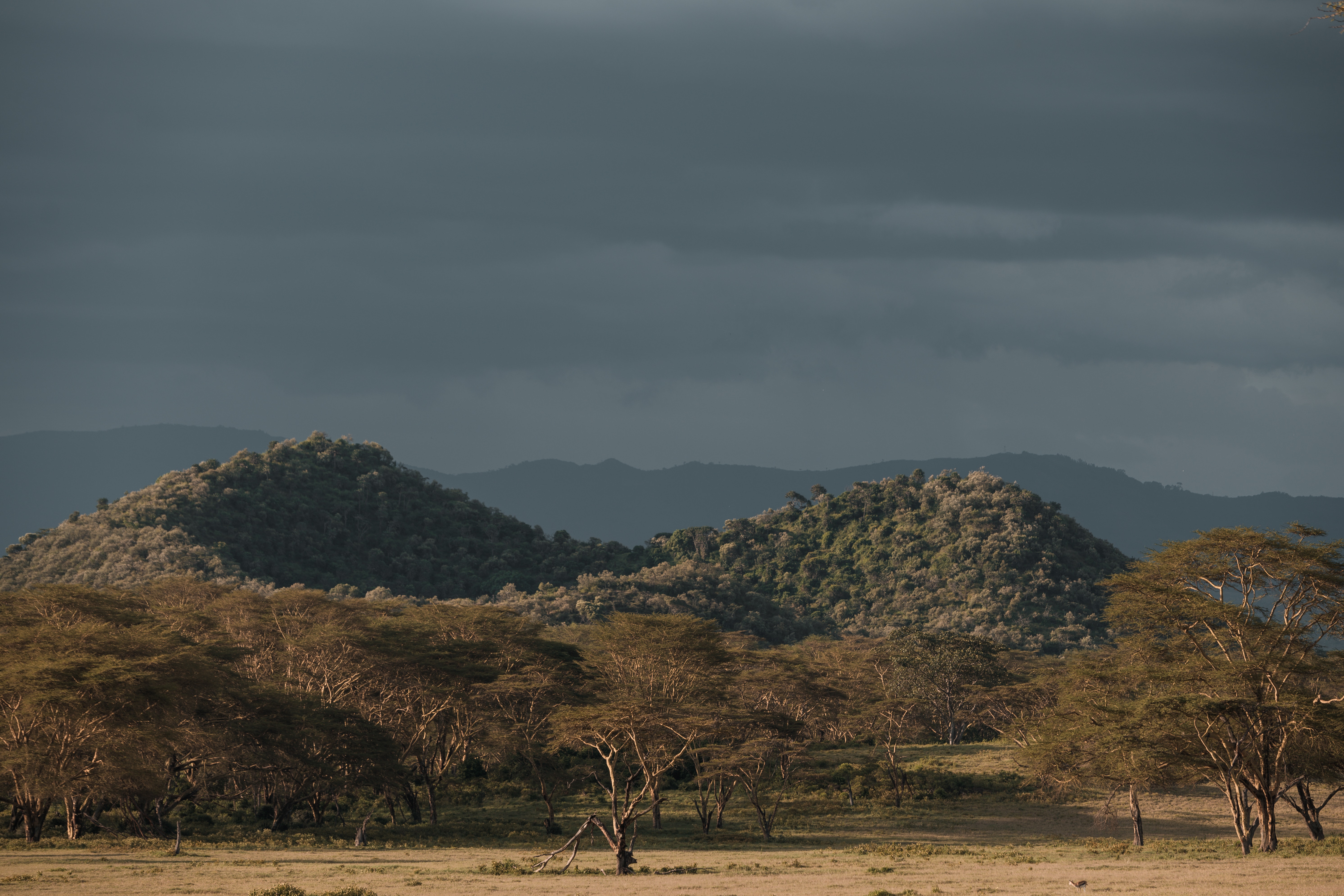 African Landscape Photo, Download The BEST Free African Landscape & HD Image