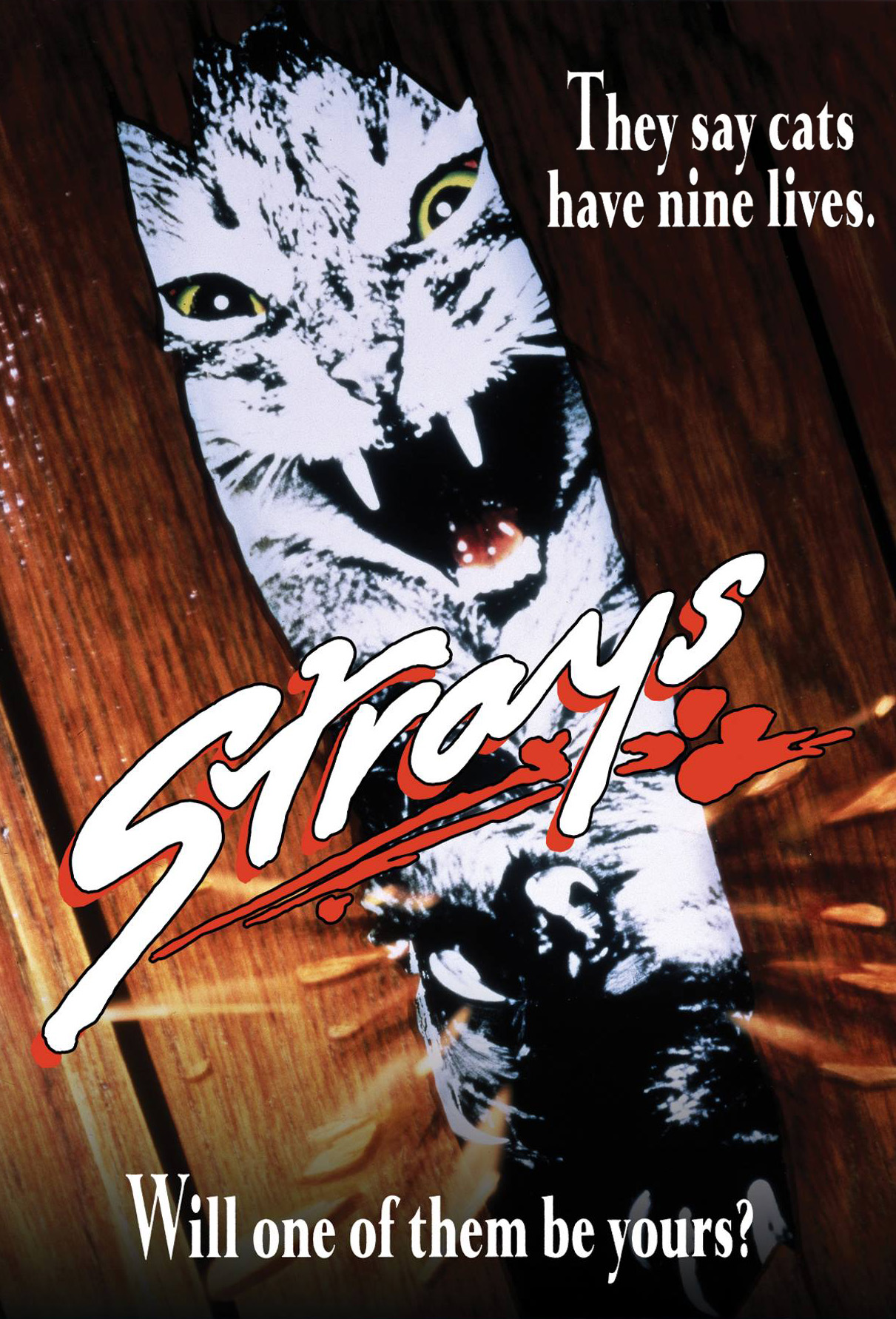 Strays (TV Movie 1991)