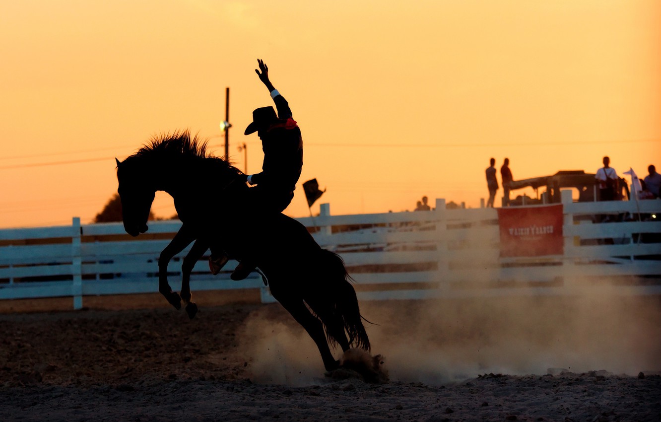 Free download Photo Wallpaper Horse Rider Rodeo Stallion 1332x850 [1332x850] for your Desktop, Mobile & Tablet. Explore Rodeo Background. Rodeo Wallpaper, Rodeo Wallpaper Image, Rodeo Wallpaper for Computer